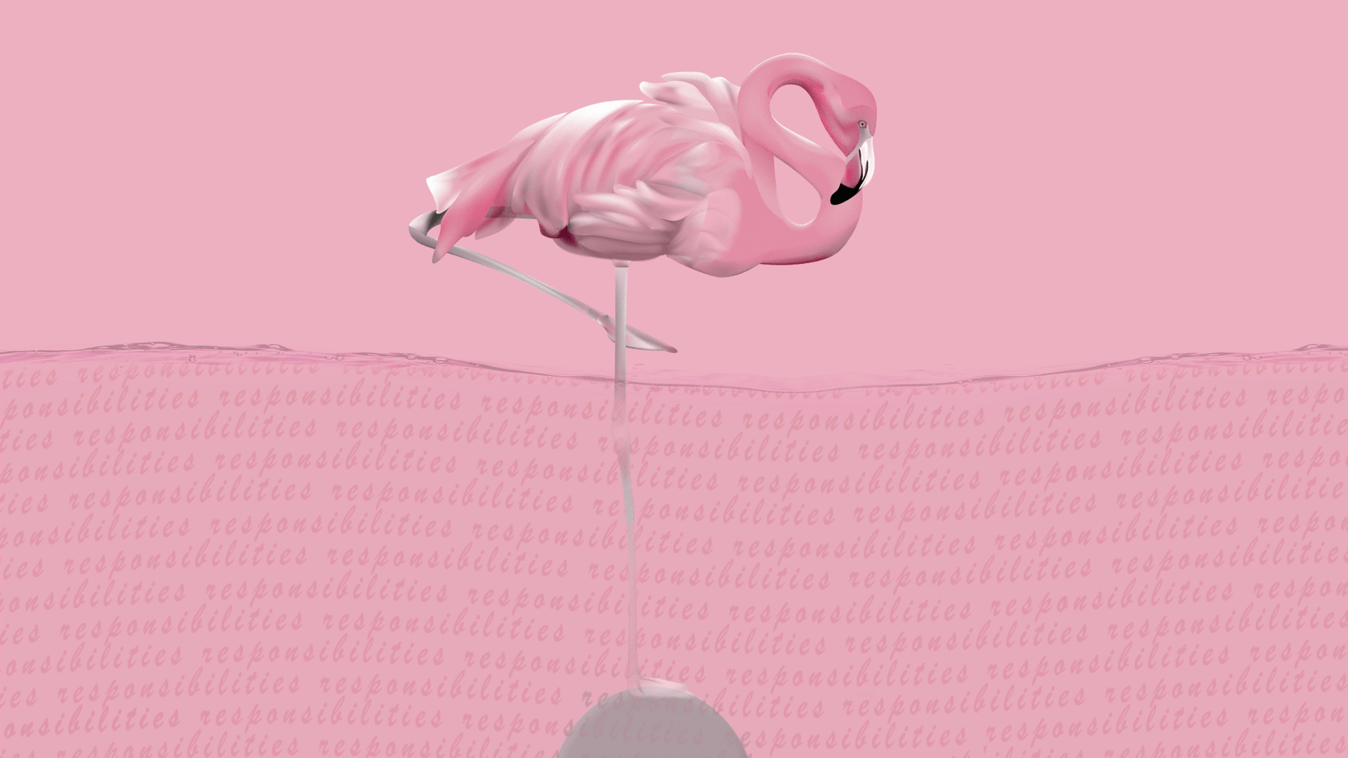 Flamingo Wallpapers Wallpaper Cave