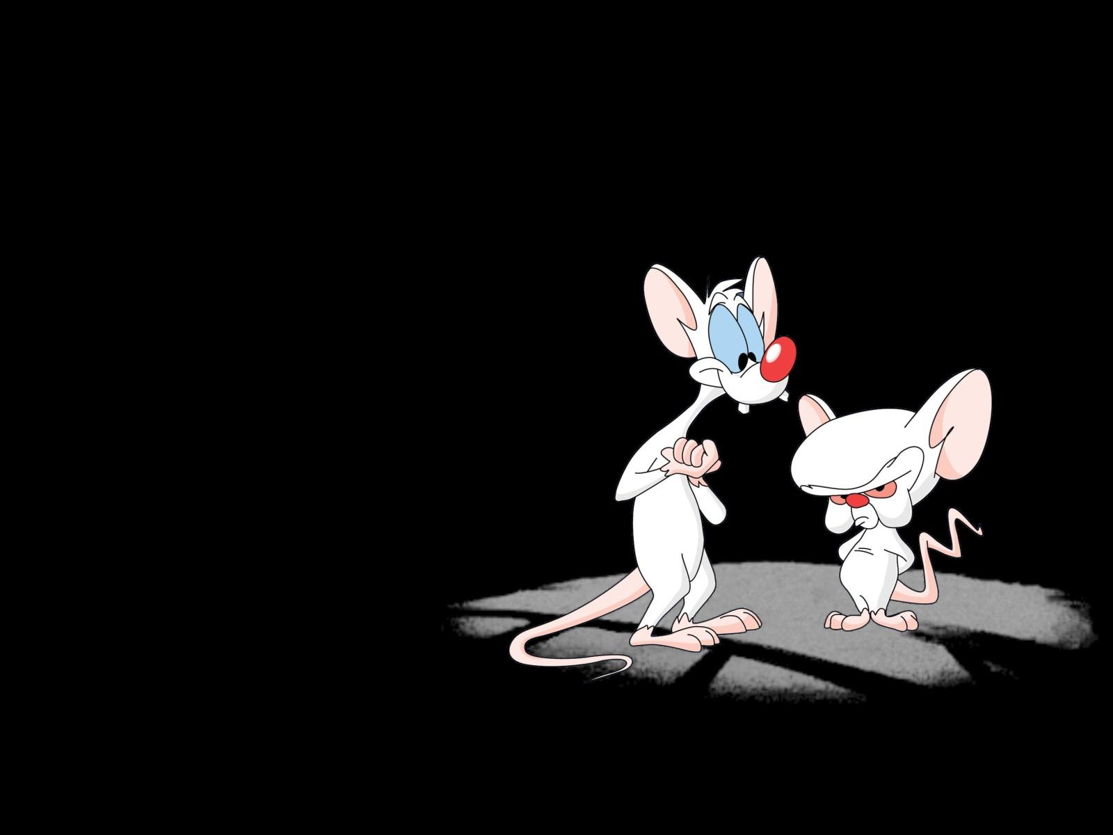 Pinky And The Brain Wallpapers Wallpaper Cave