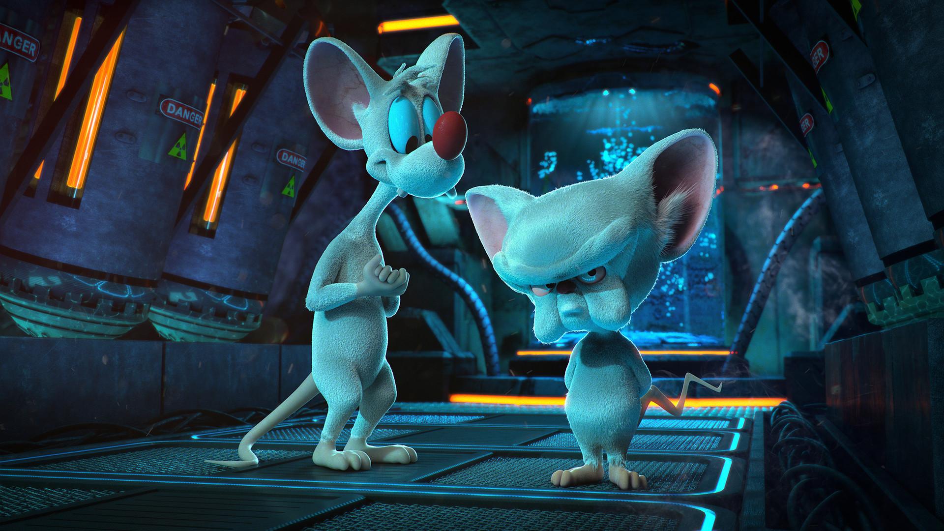 Pinky And The Brain Wallpapers Wallpaper Cave