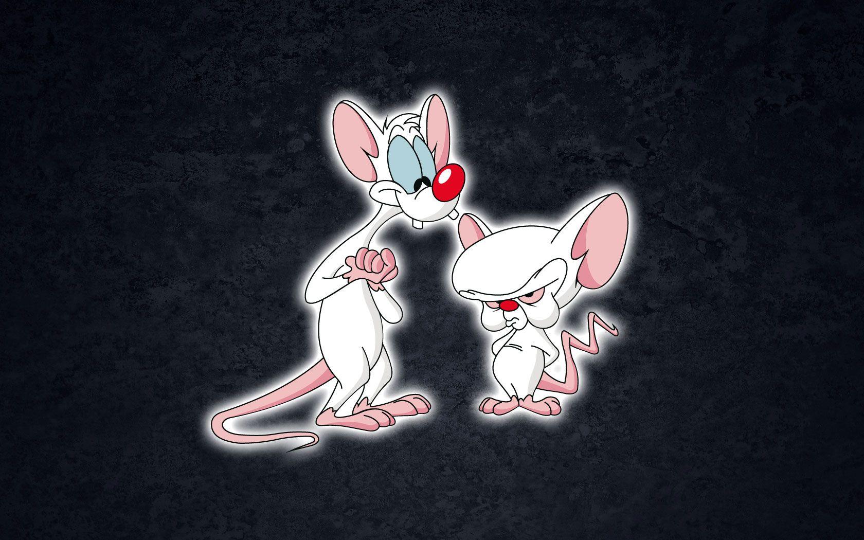 Pinky And The Brain Wallpapers Wallpaper Cave