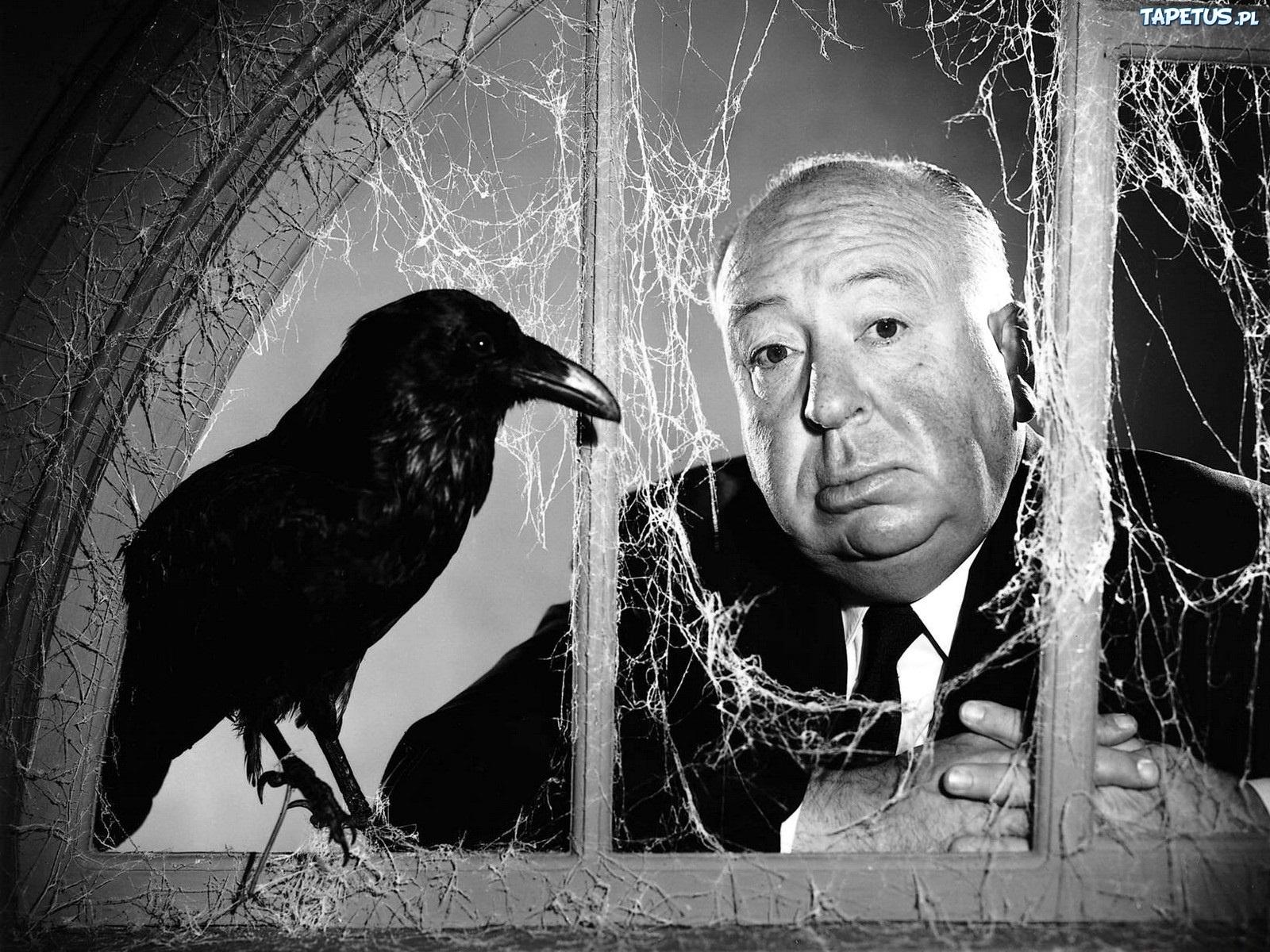 Alfred Hitchcock Wallpapers Wallpaper Cave