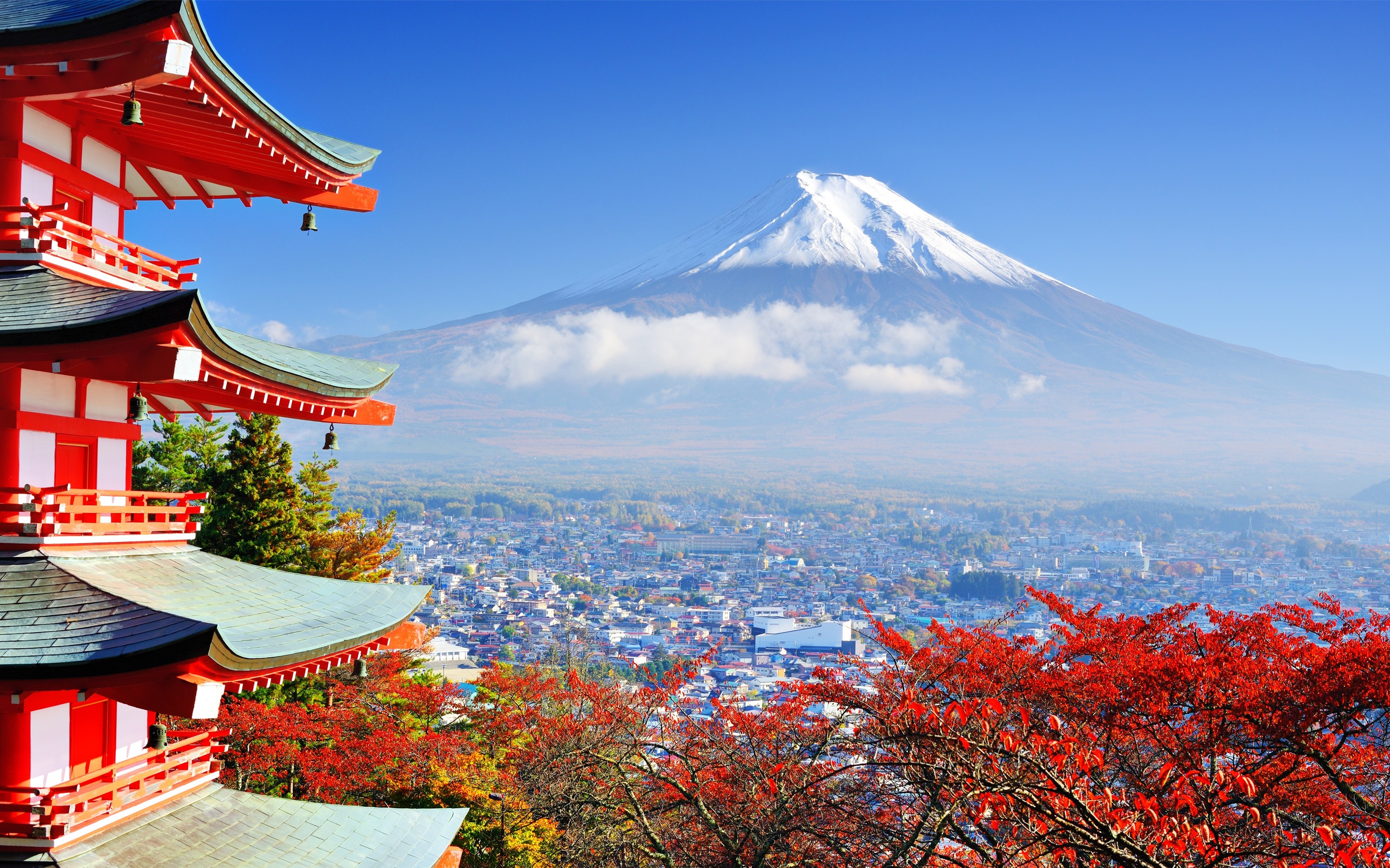 Mount Fuji Wallpapers - Wallpaper Cave 1800_X_2880_jpg