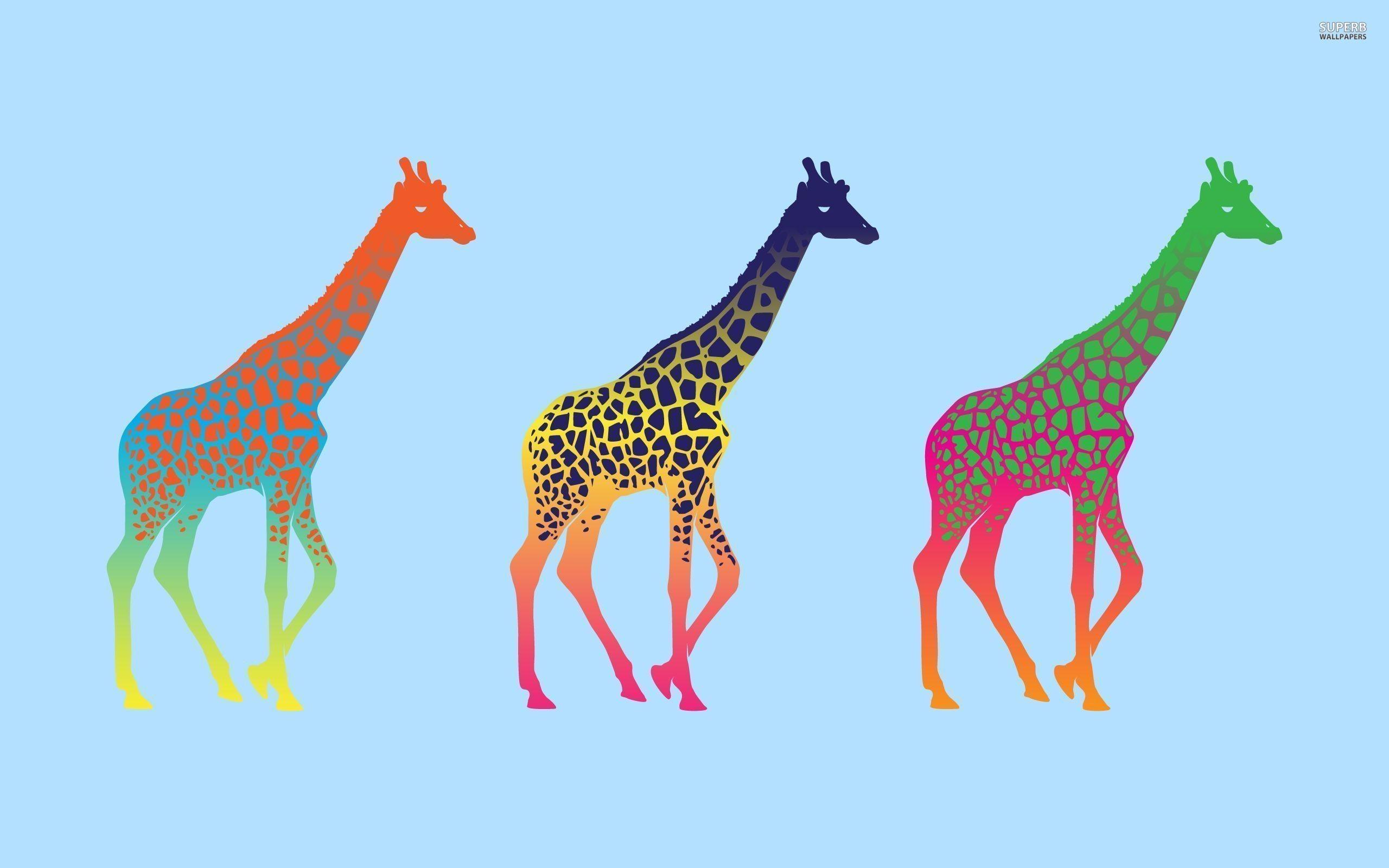 Giraffe Wallpapers Wallpaper Cave