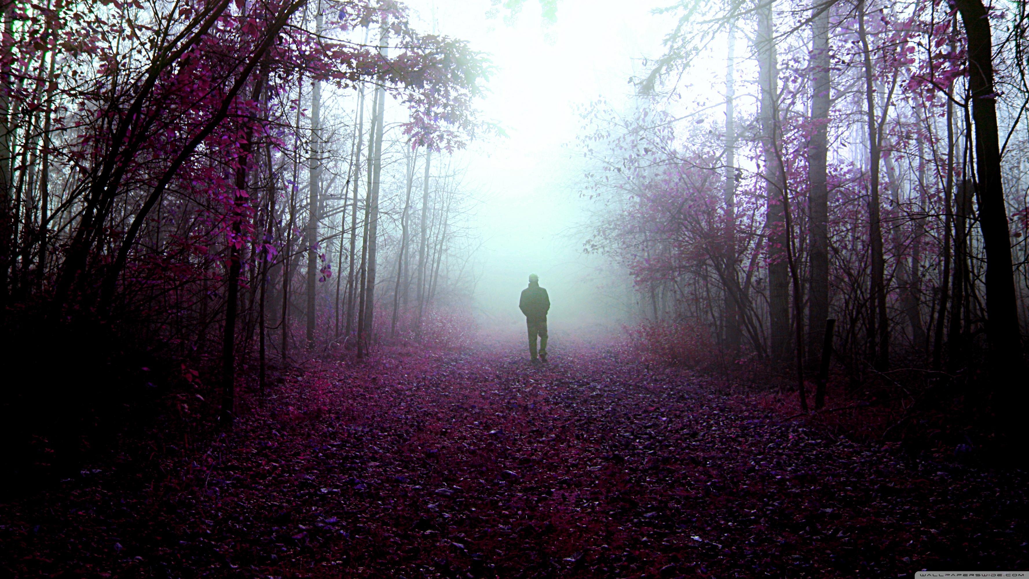 Mystery Wallpapers Wallpaper Cave