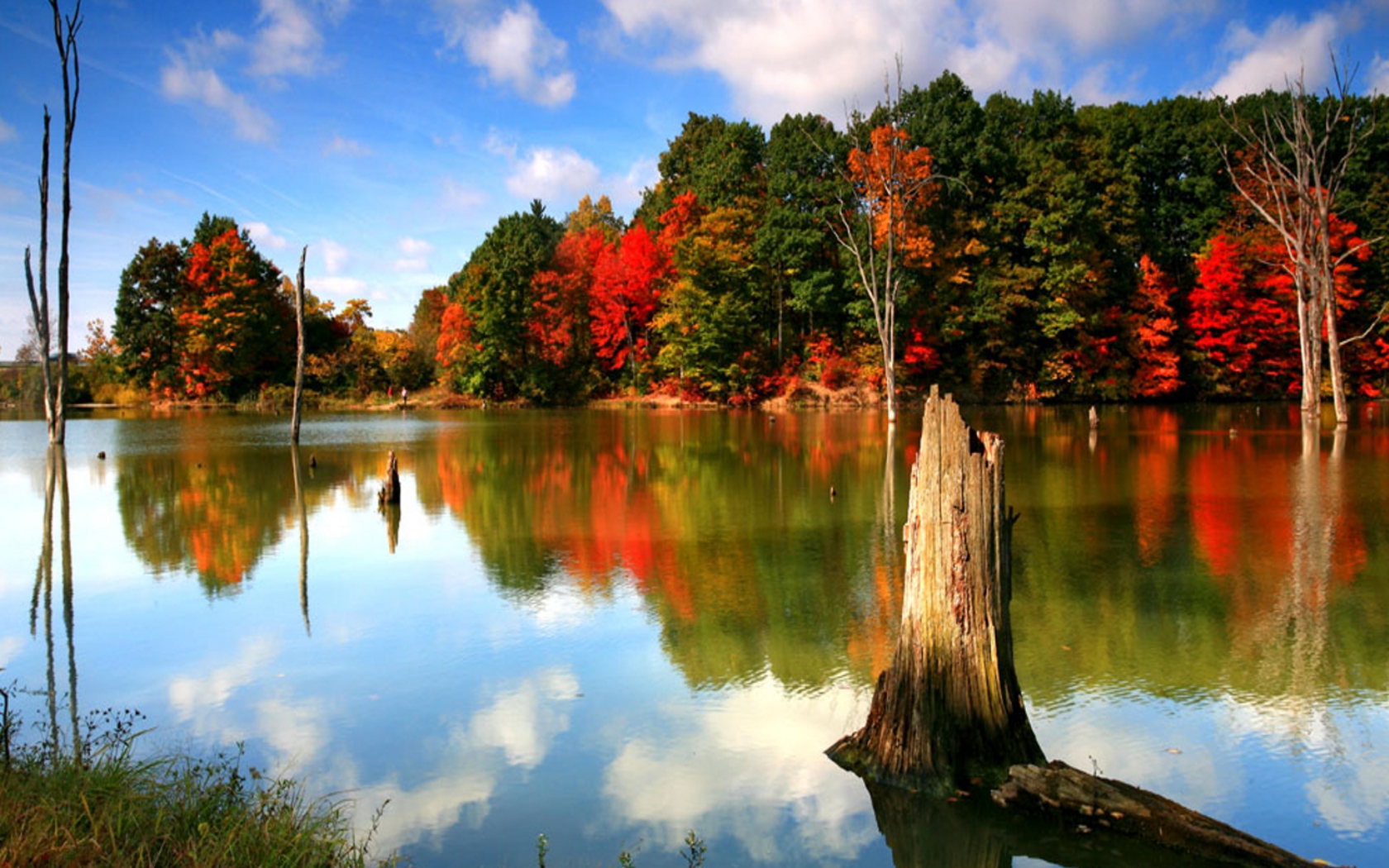 Yahoo! Wallpapers Wallpaper Cave