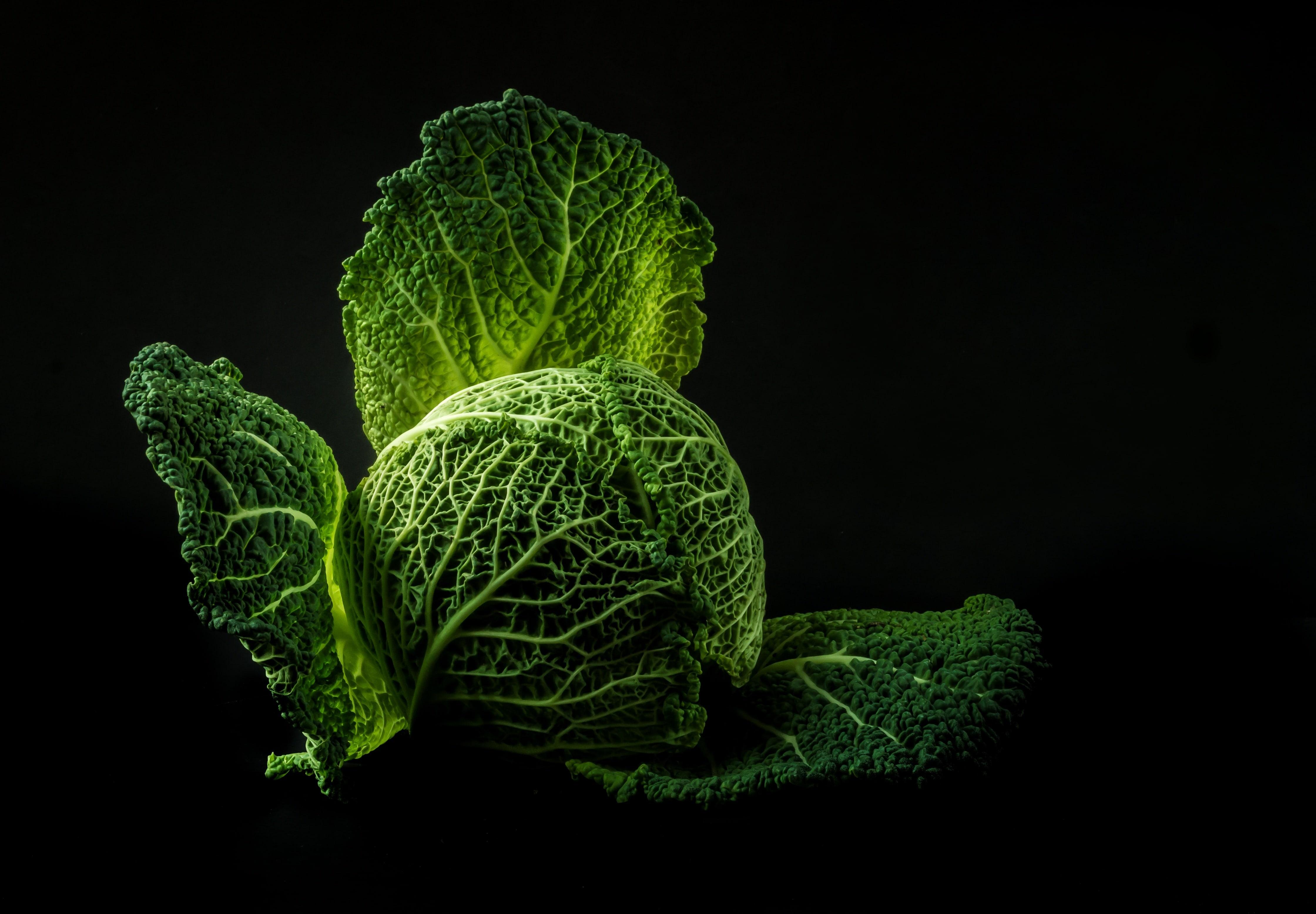 Cabbage Wallpapers Wallpaper Cave