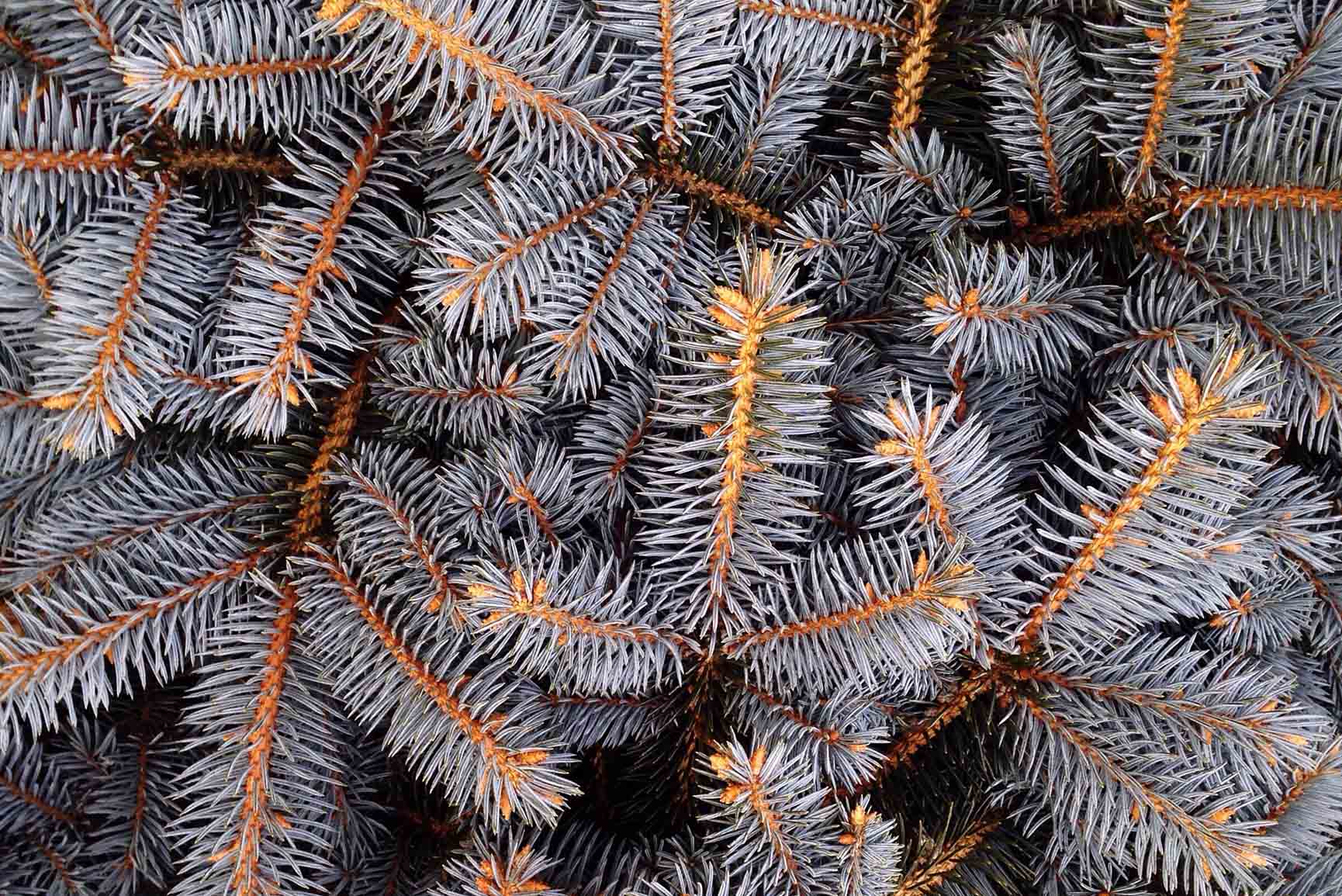 Dark Blue And Gold Aesthetic Wallpapers Wallpaper Cave