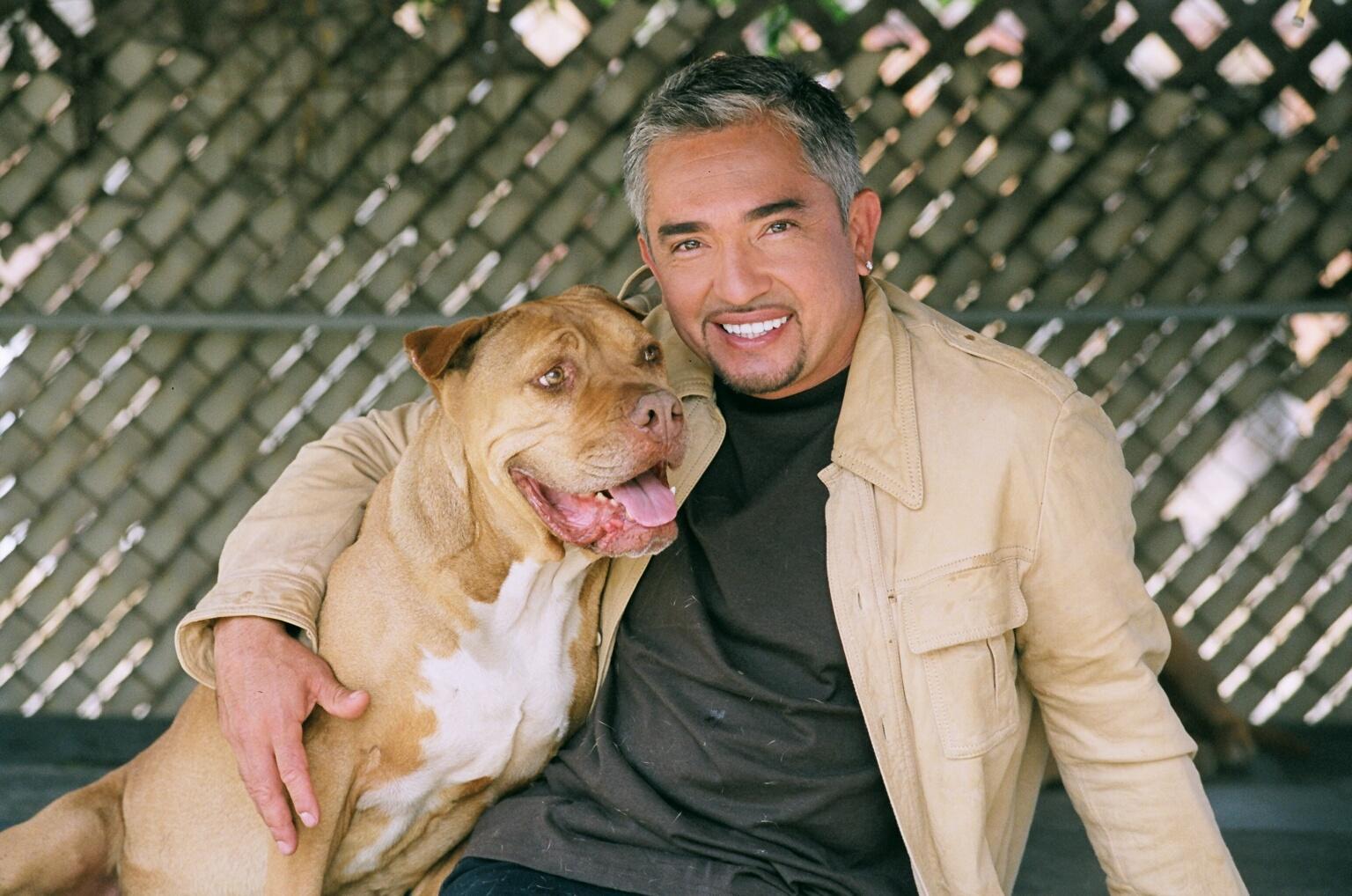 Cesar Millan Wallpapers Wallpaper Cave