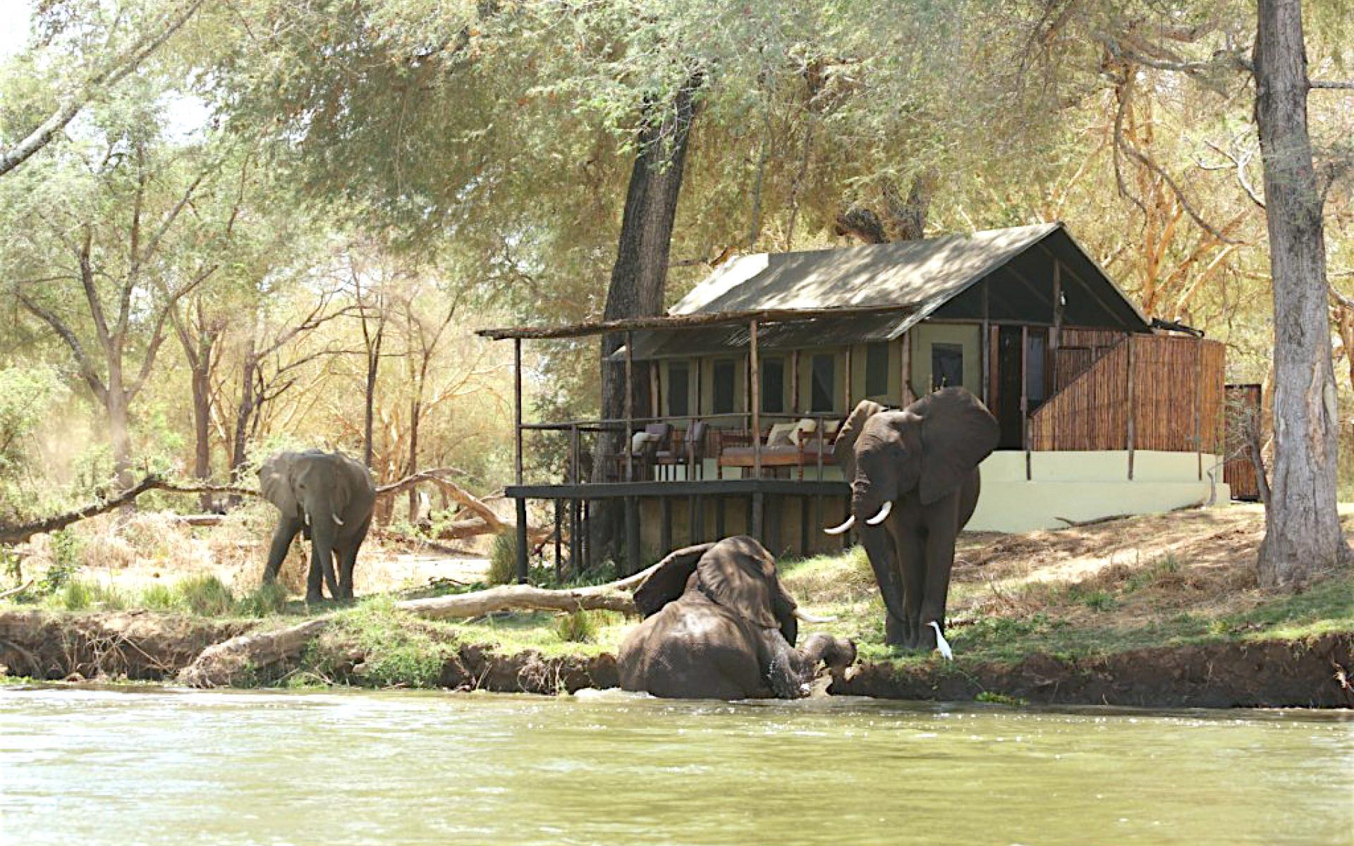 Lower Zambezi National Park Wallpapers Wallpaper Cave