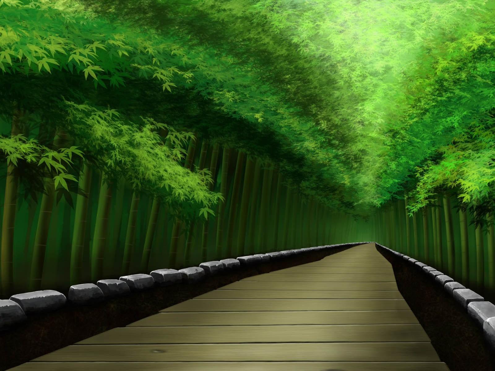 Sagano Bamboo Forest Wallpapers Wallpaper Cave