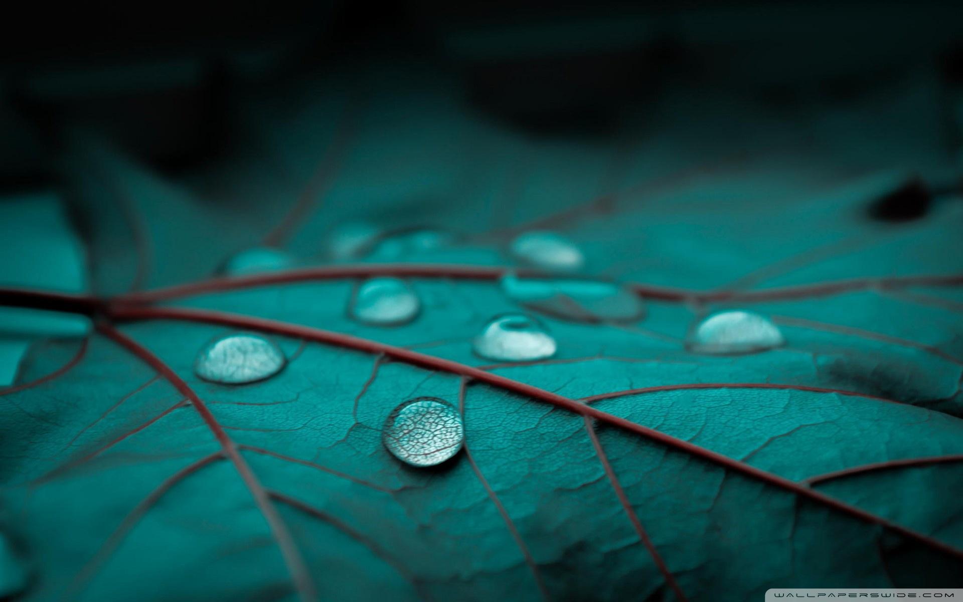 Emerald Wallpapers Wallpaper Cave