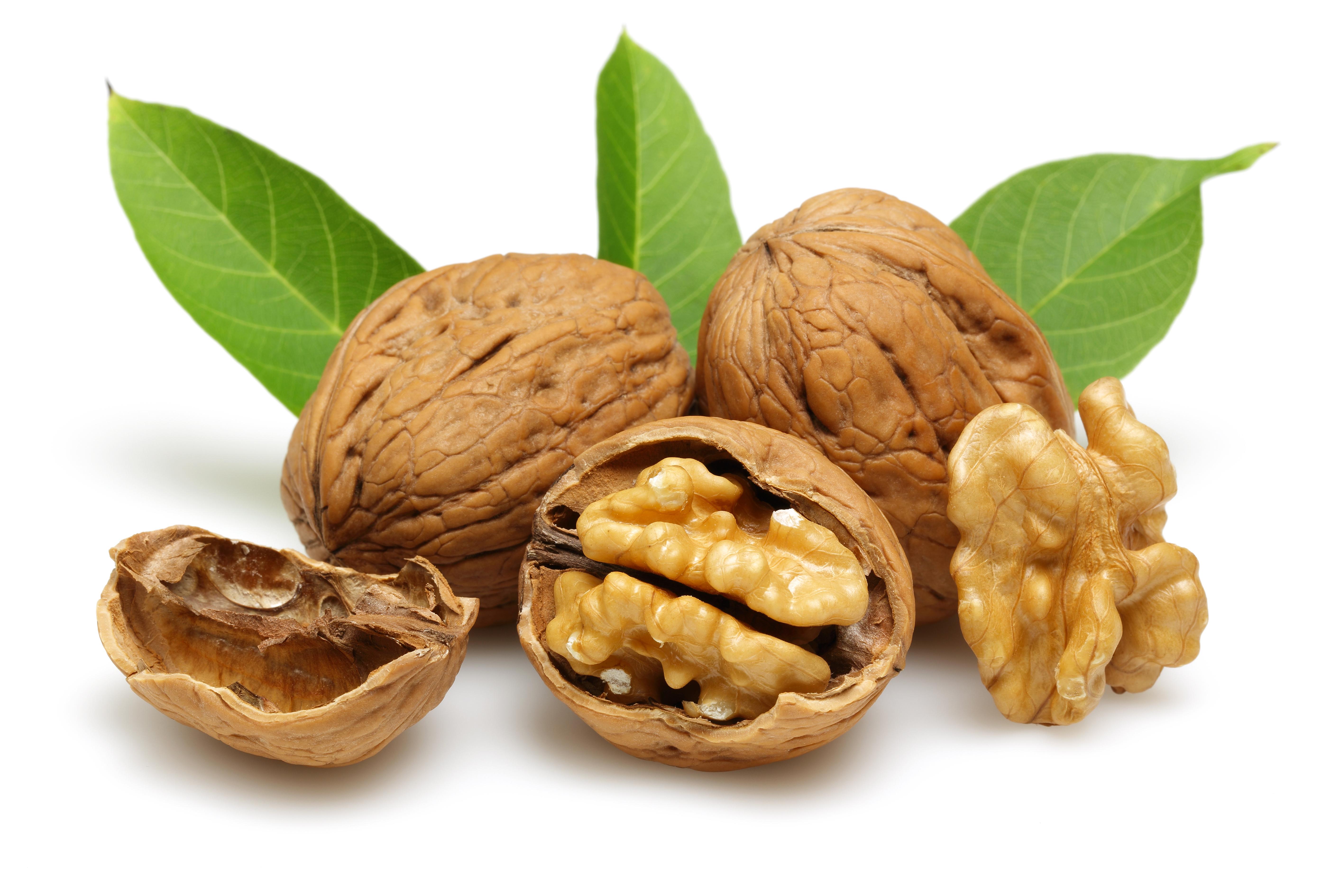 Walnut Wallpapers Wallpaper Cave