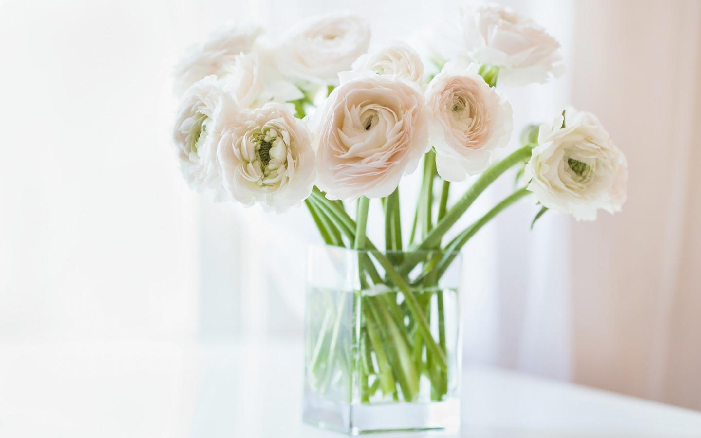 White Flowers Wallpapers Wallpaper Cave