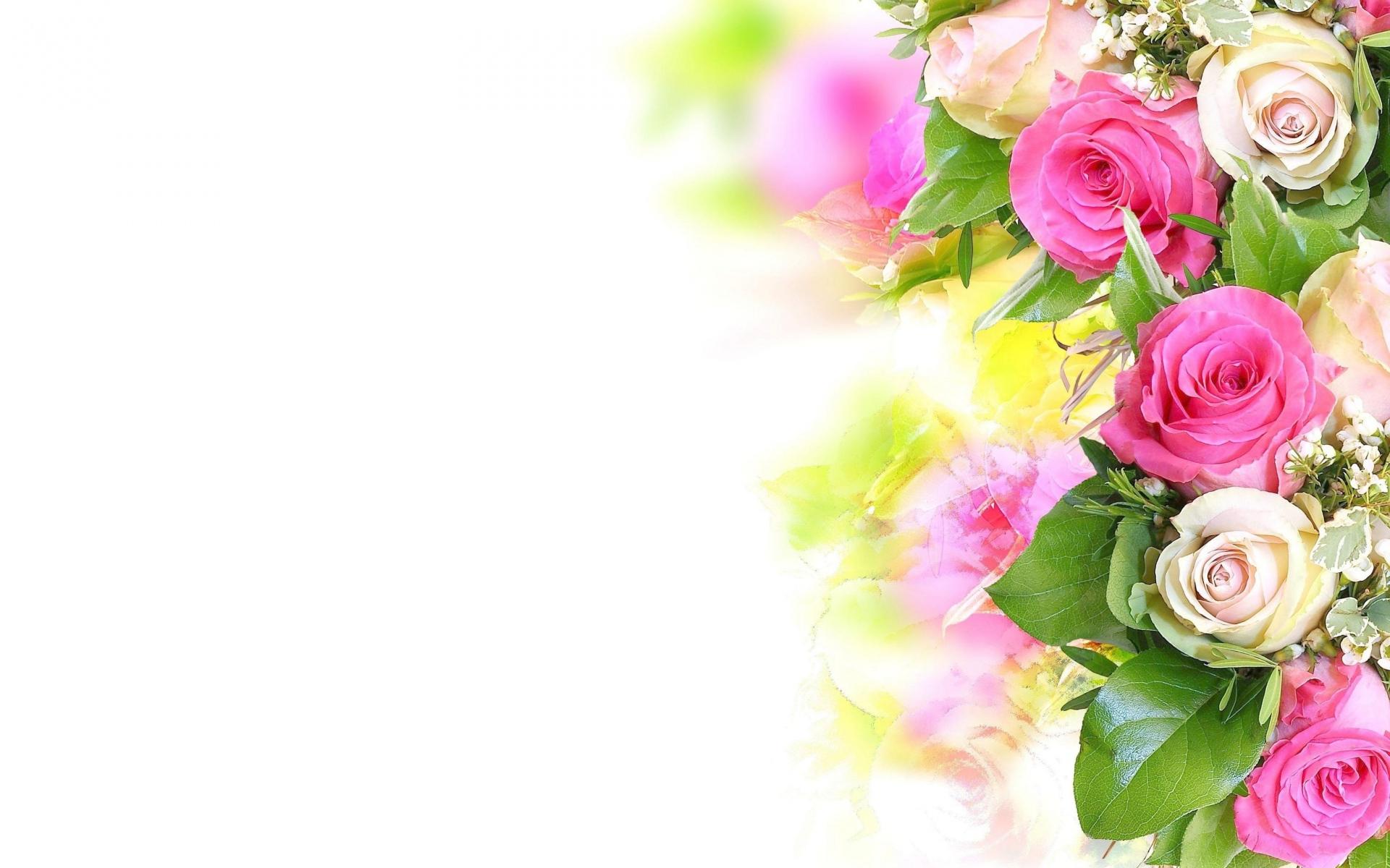 White Background Floral Wallpaper