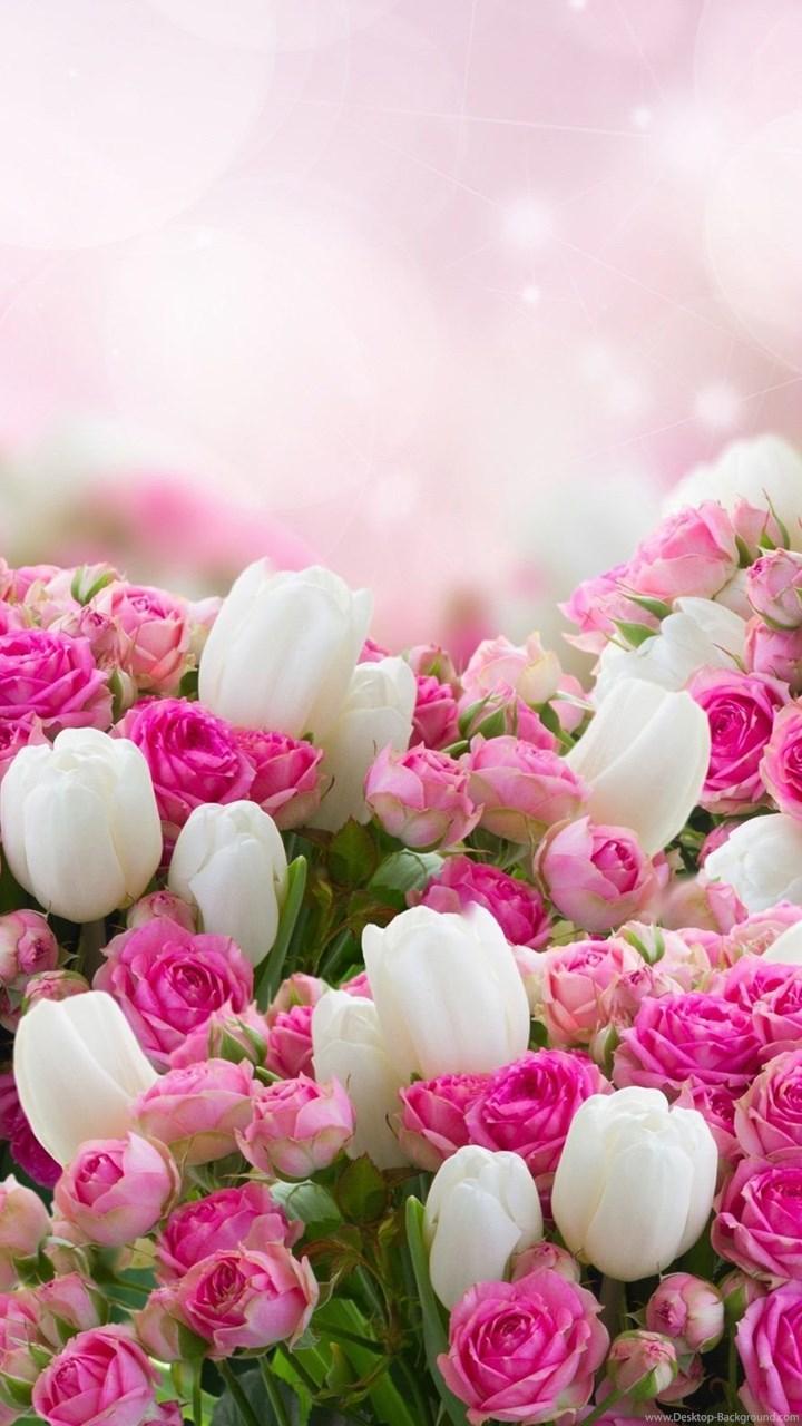 White Flowers Wallpapers Wallpaper Cave