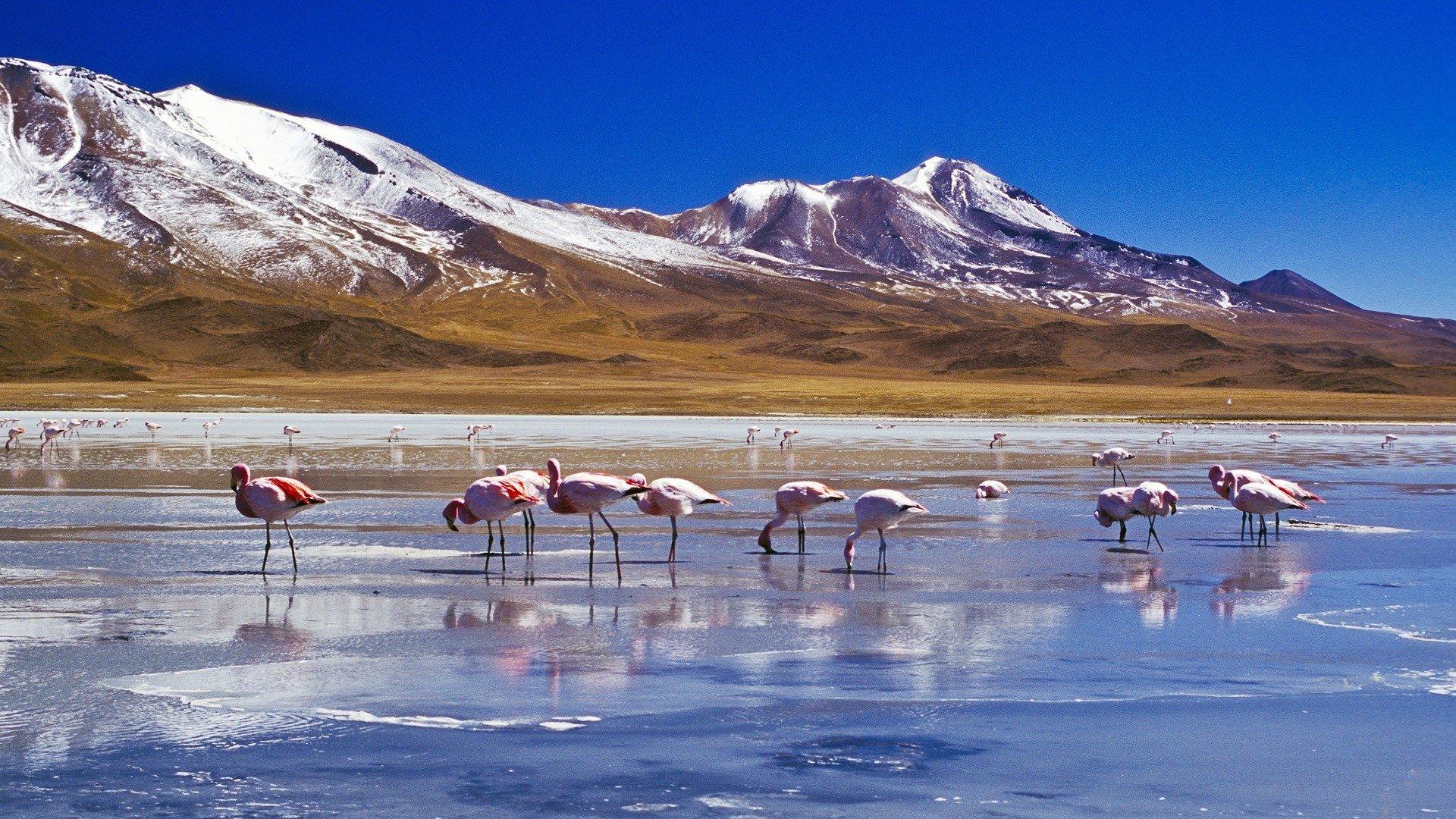 Salar De Uyuni Wallpapers Wallpaper Cave