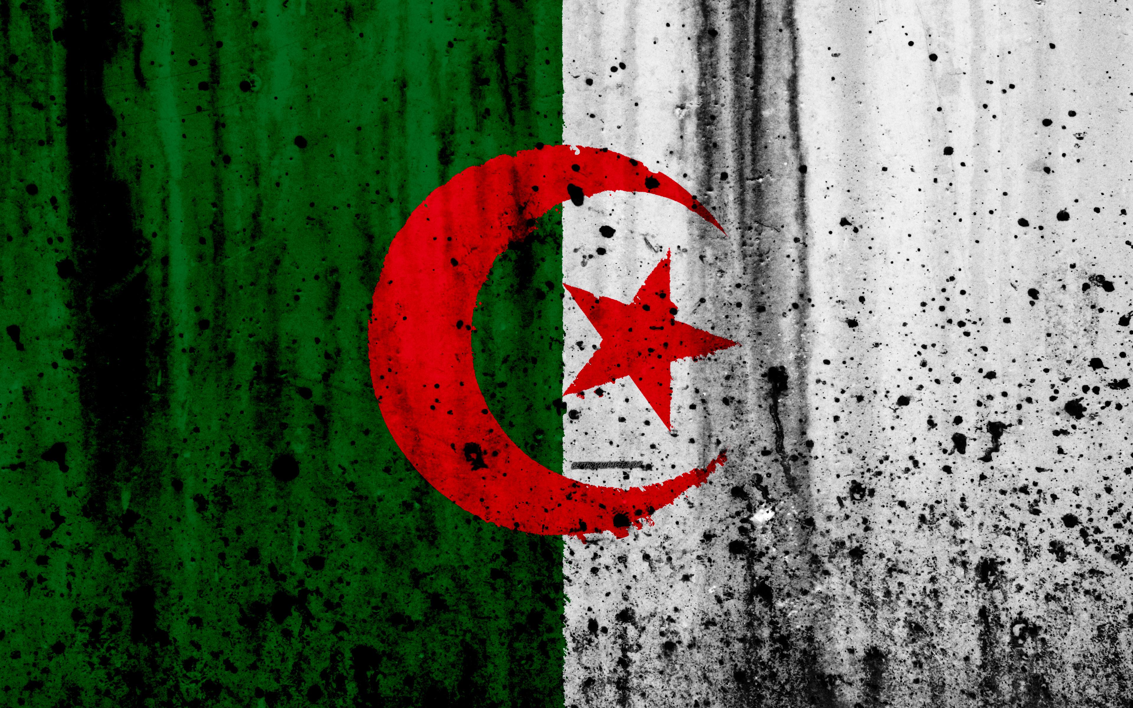 Algeria Flag Wallpapers Wallpaper Cave