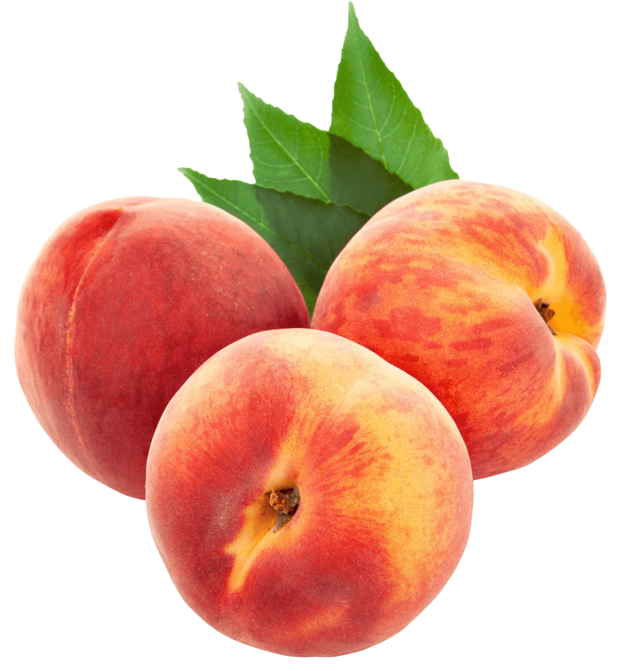 Peaches Wallpapers Wallpaper Cave