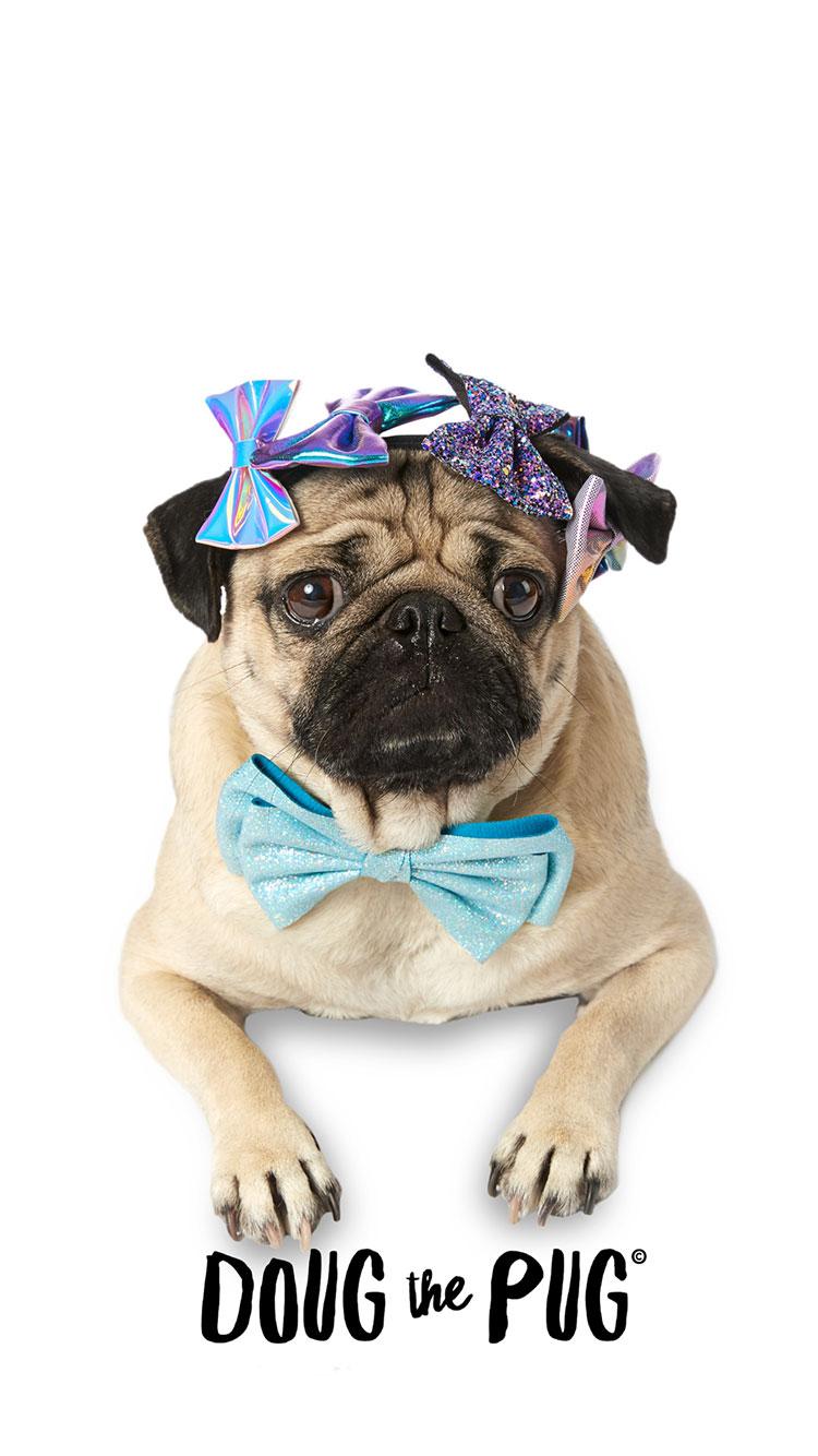 Doug The Pug Wallpapers Wallpaper Cave