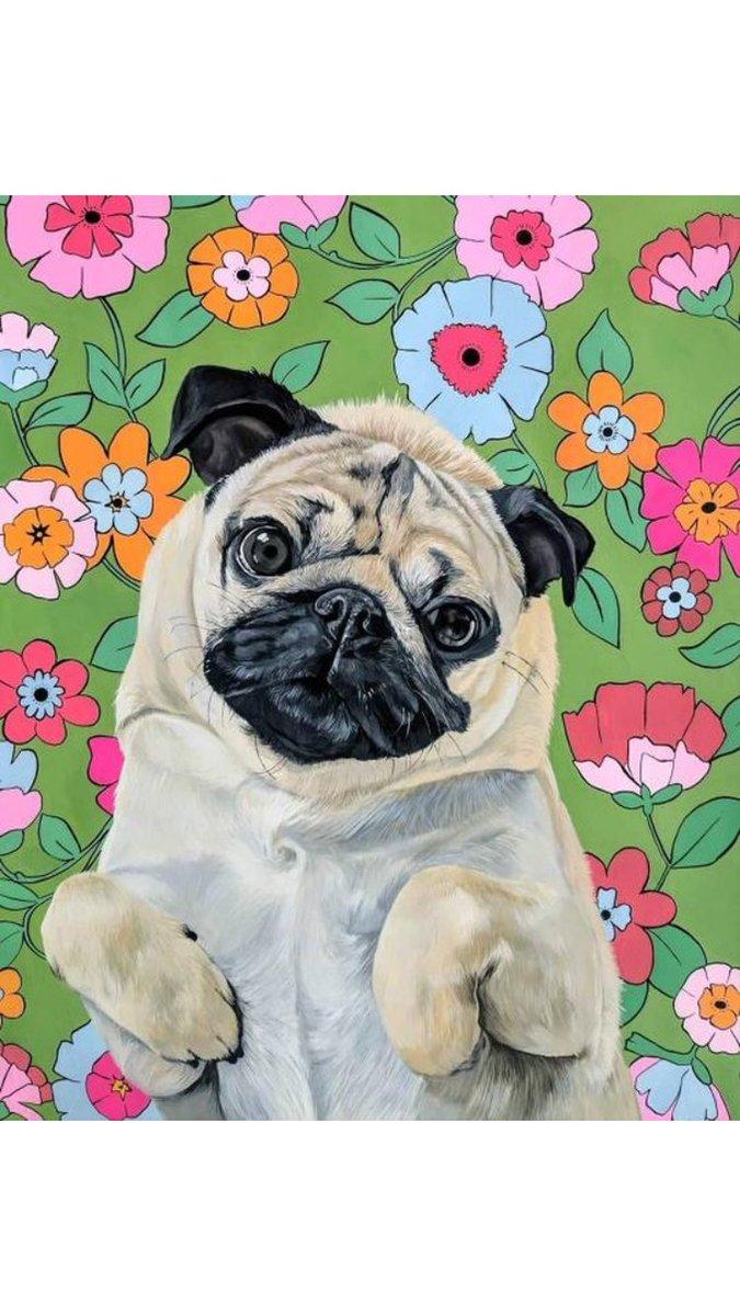 Doug The Pug Wallpapers Wallpaper Cave