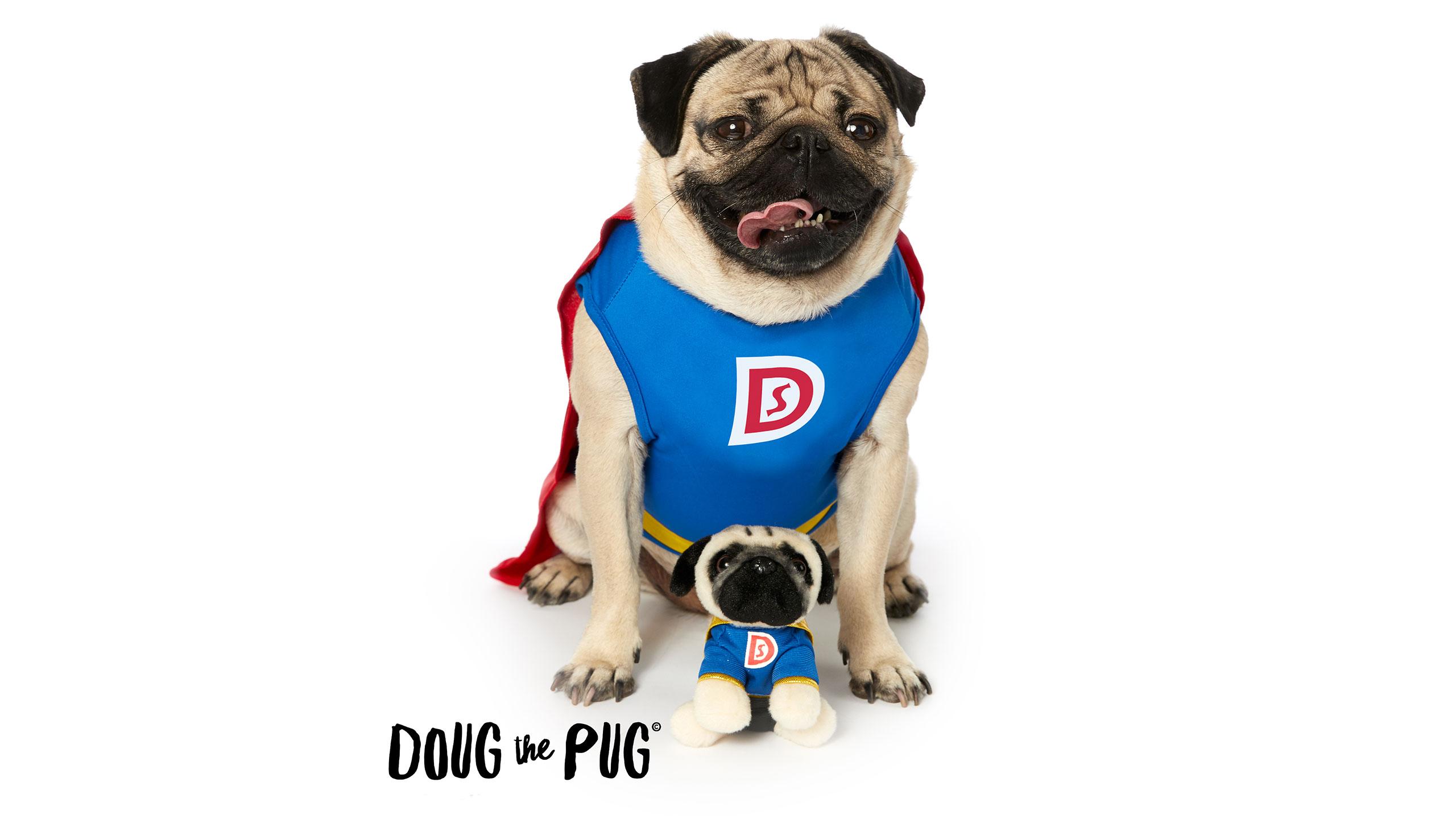 Doug The Pug Wallpapers Wallpaper Cave
