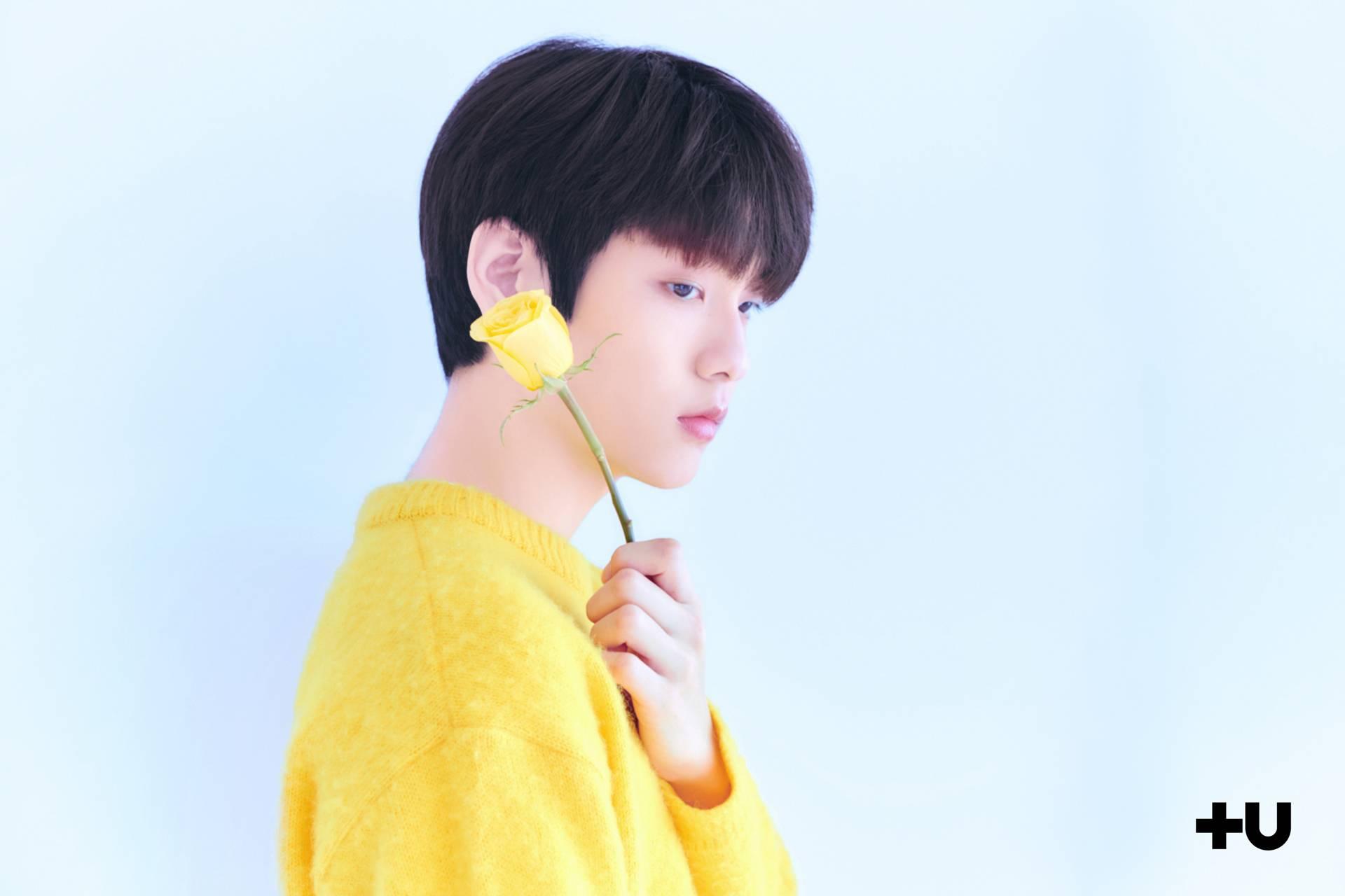 Soobin TXT Wallpapers Wallpaper Cave