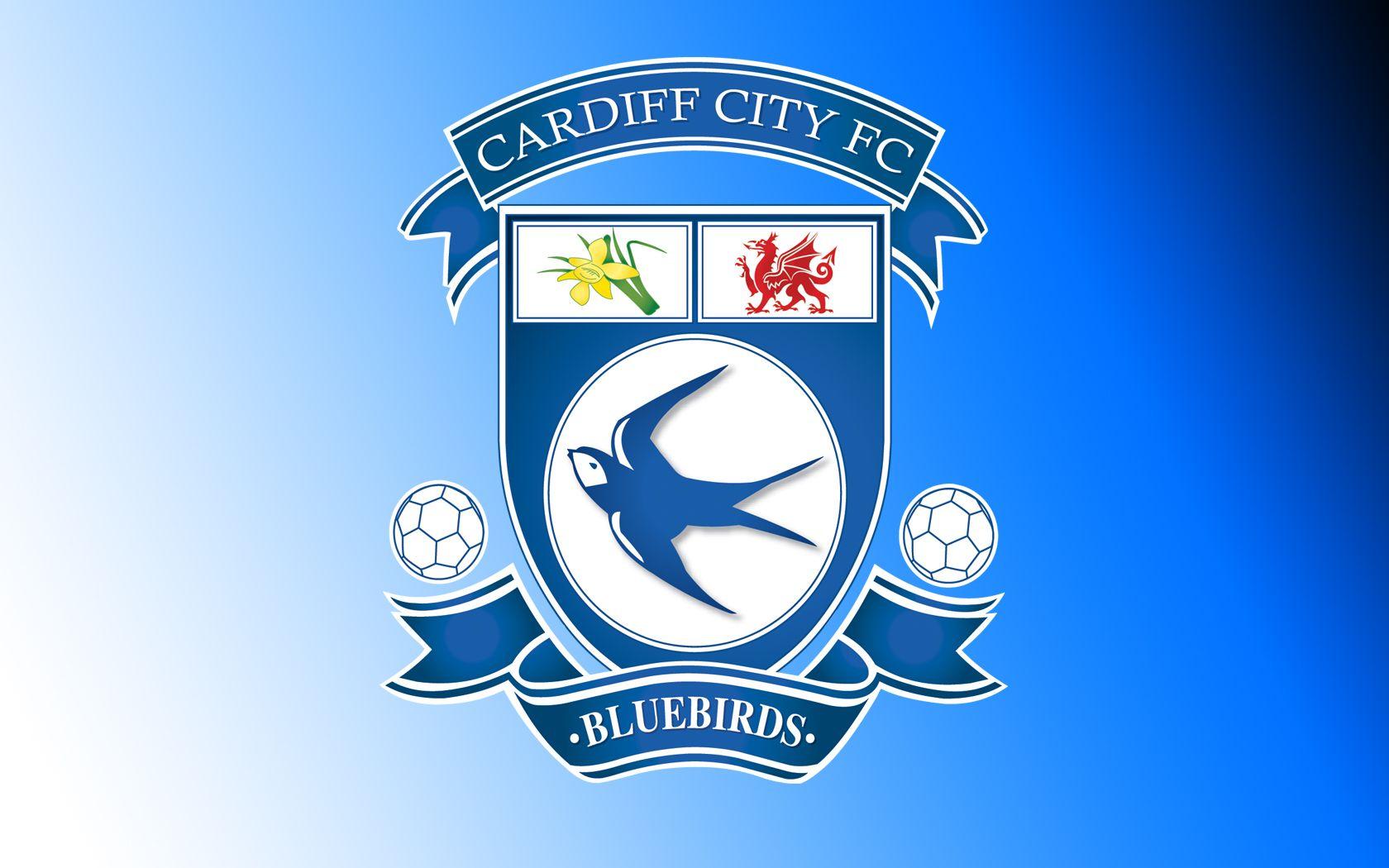 Cardiff City F.C. Wallpapers Wallpaper Cave