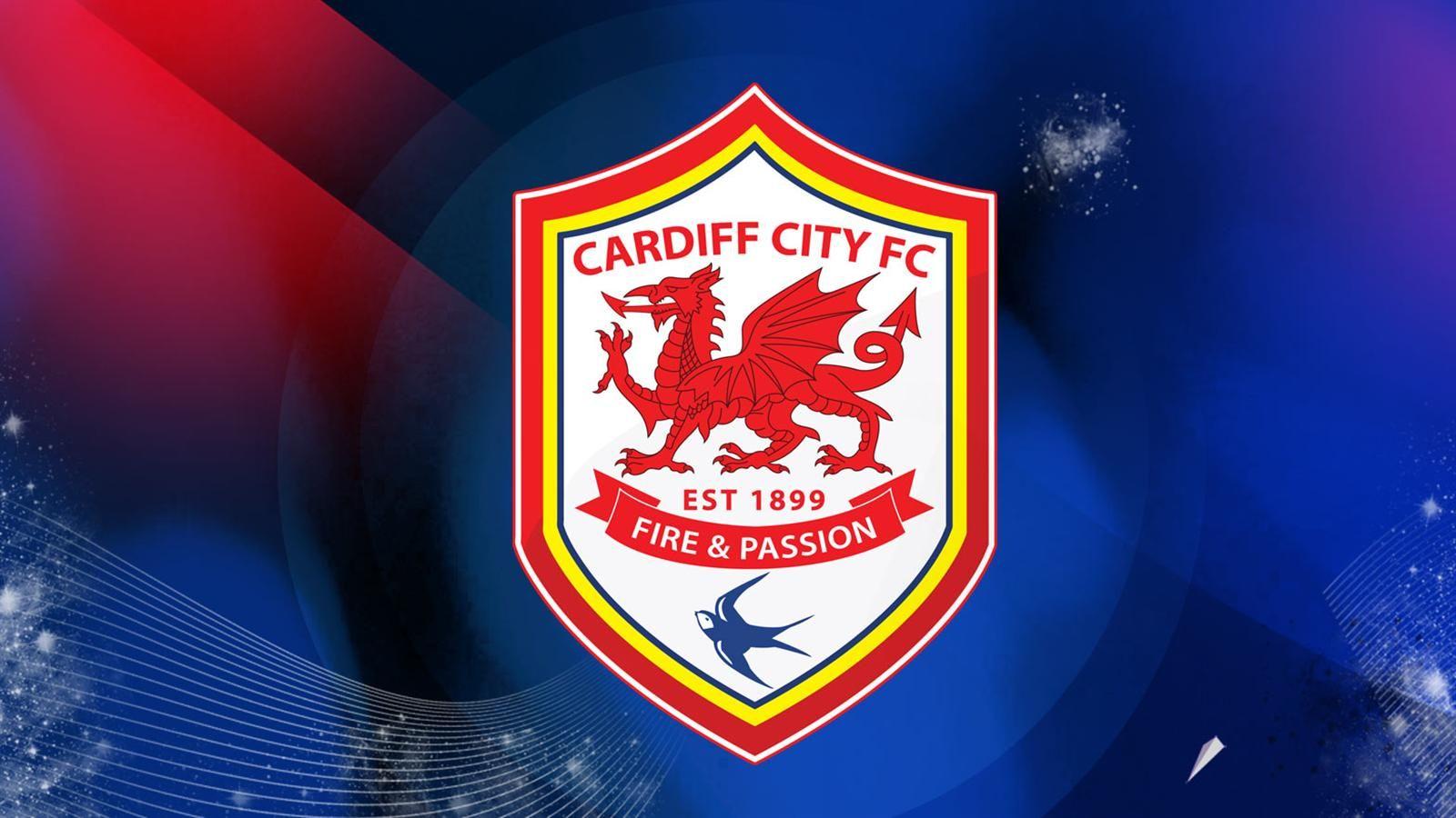 Cardiff City F.C. Wallpapers Wallpaper Cave