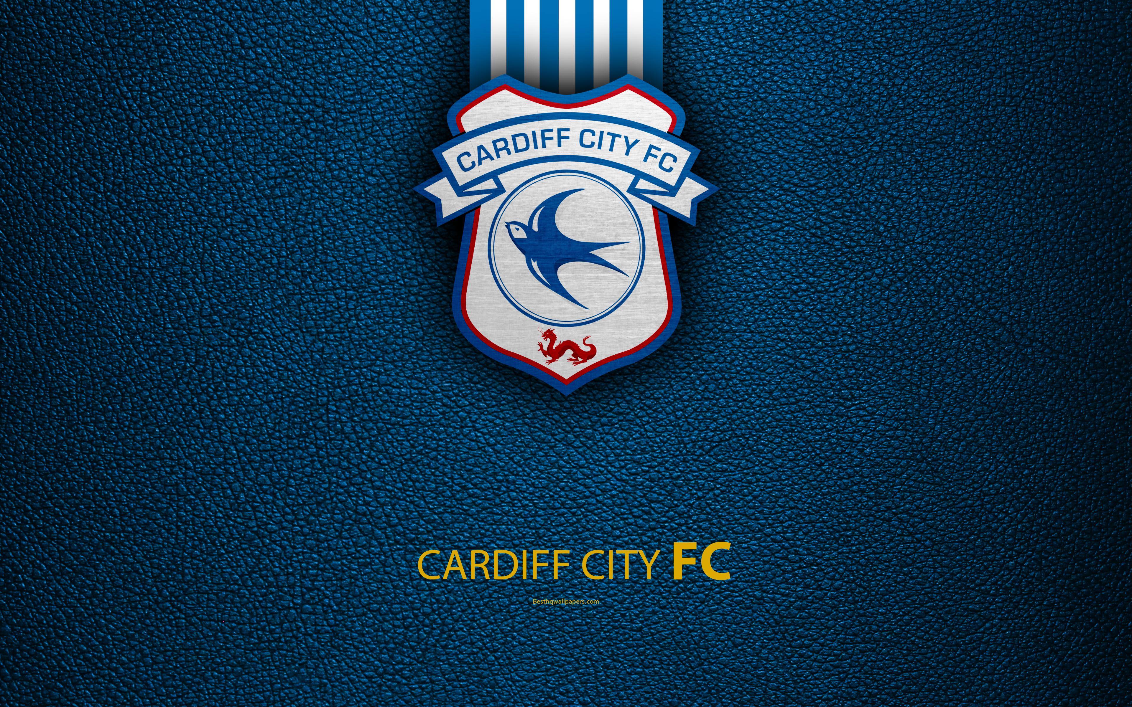 Cardiff City F.C. Wallpapers Wallpaper Cave