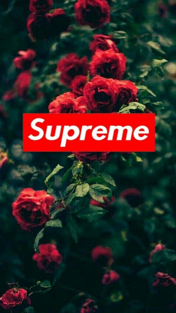 Supreme Rose Wallpapers Wallpaper Cave