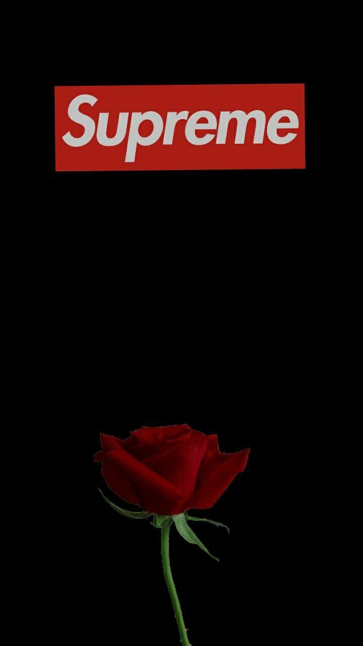 Supreme Rose Wallpapers Wallpaper Cave