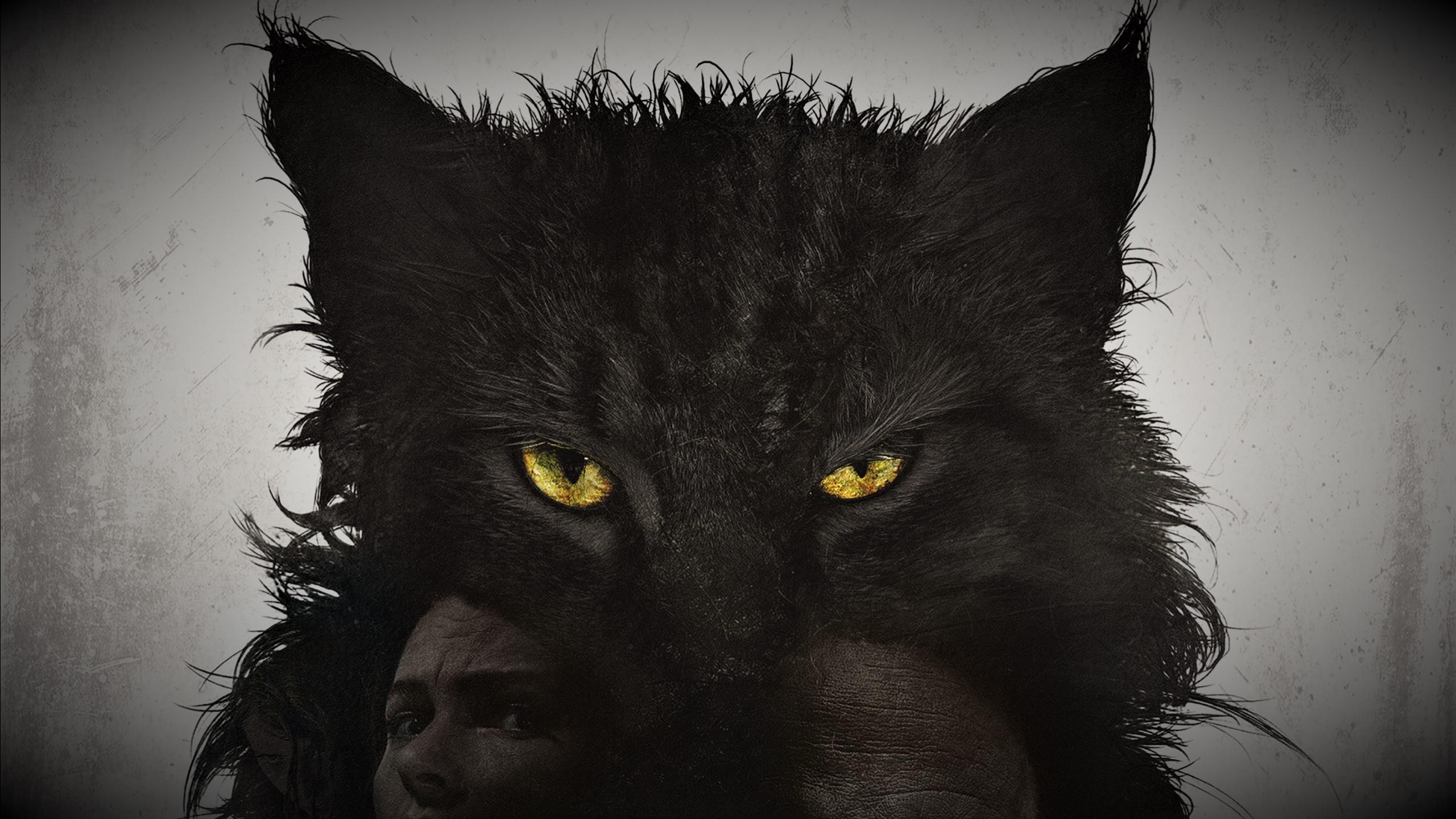 Pet Sematary Wallpapers Wallpaper Cave