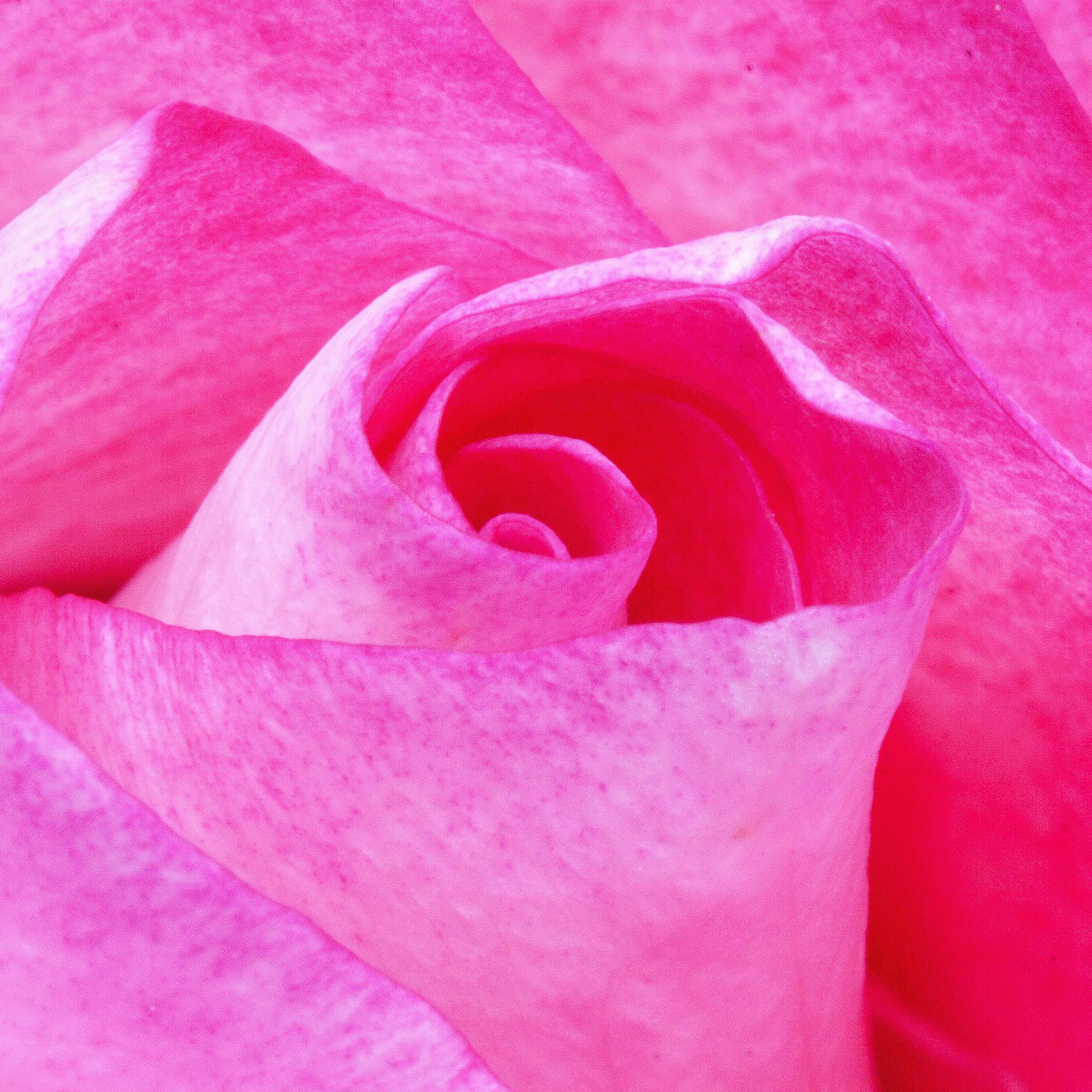 Pink Stuff Wallpapers Wallpaper Cave