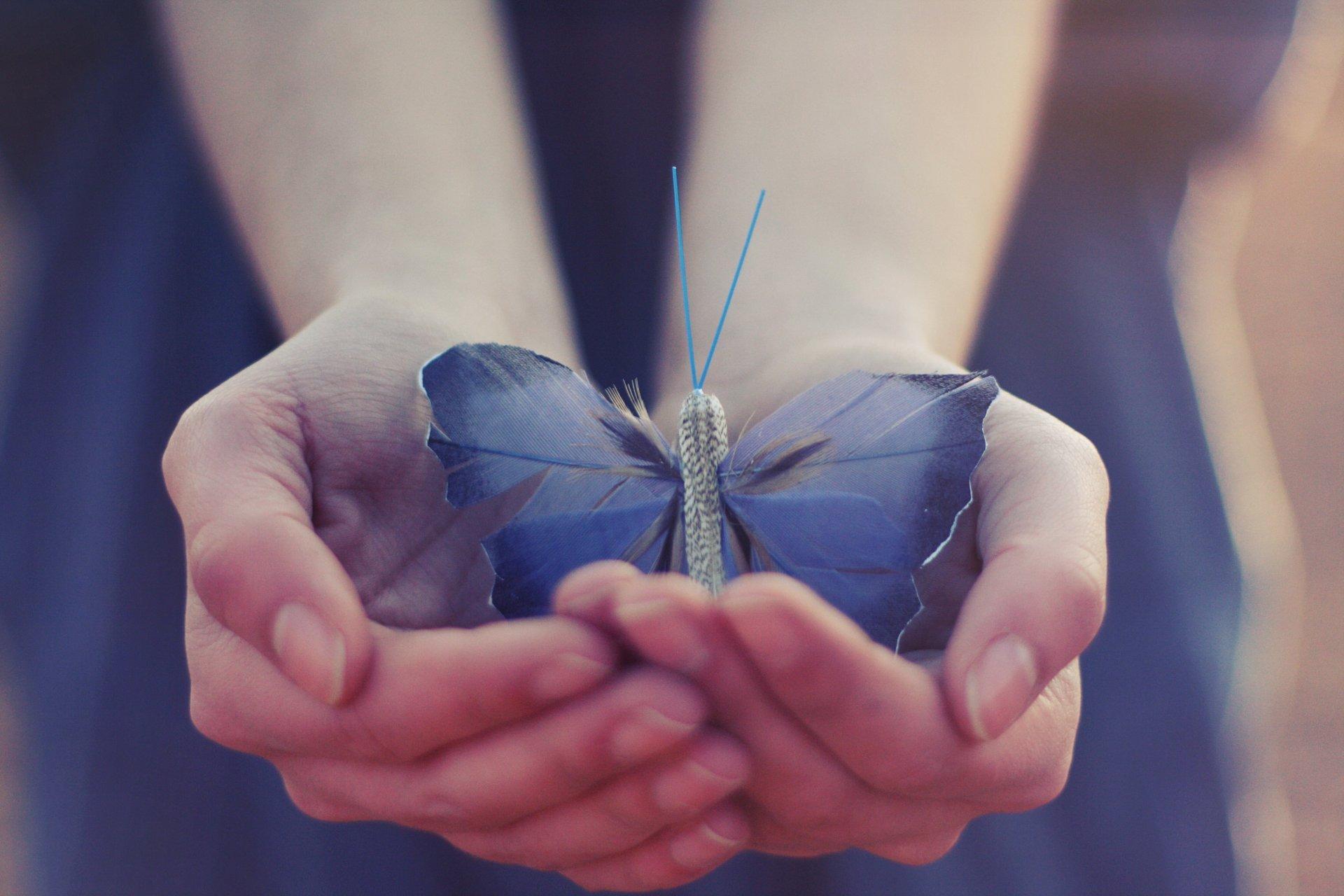 Butterfly In Hand Wallpapers Wallpaper Cave