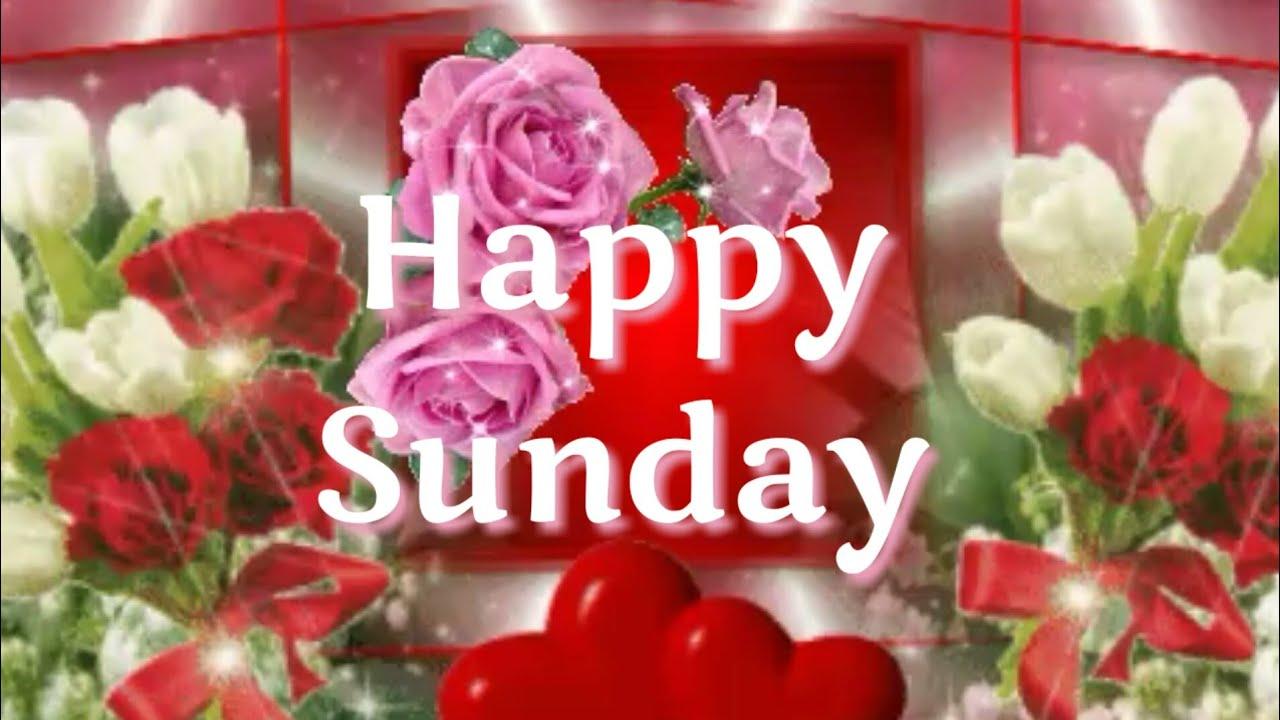 Sunday Wallpapers Wallpaper Cave