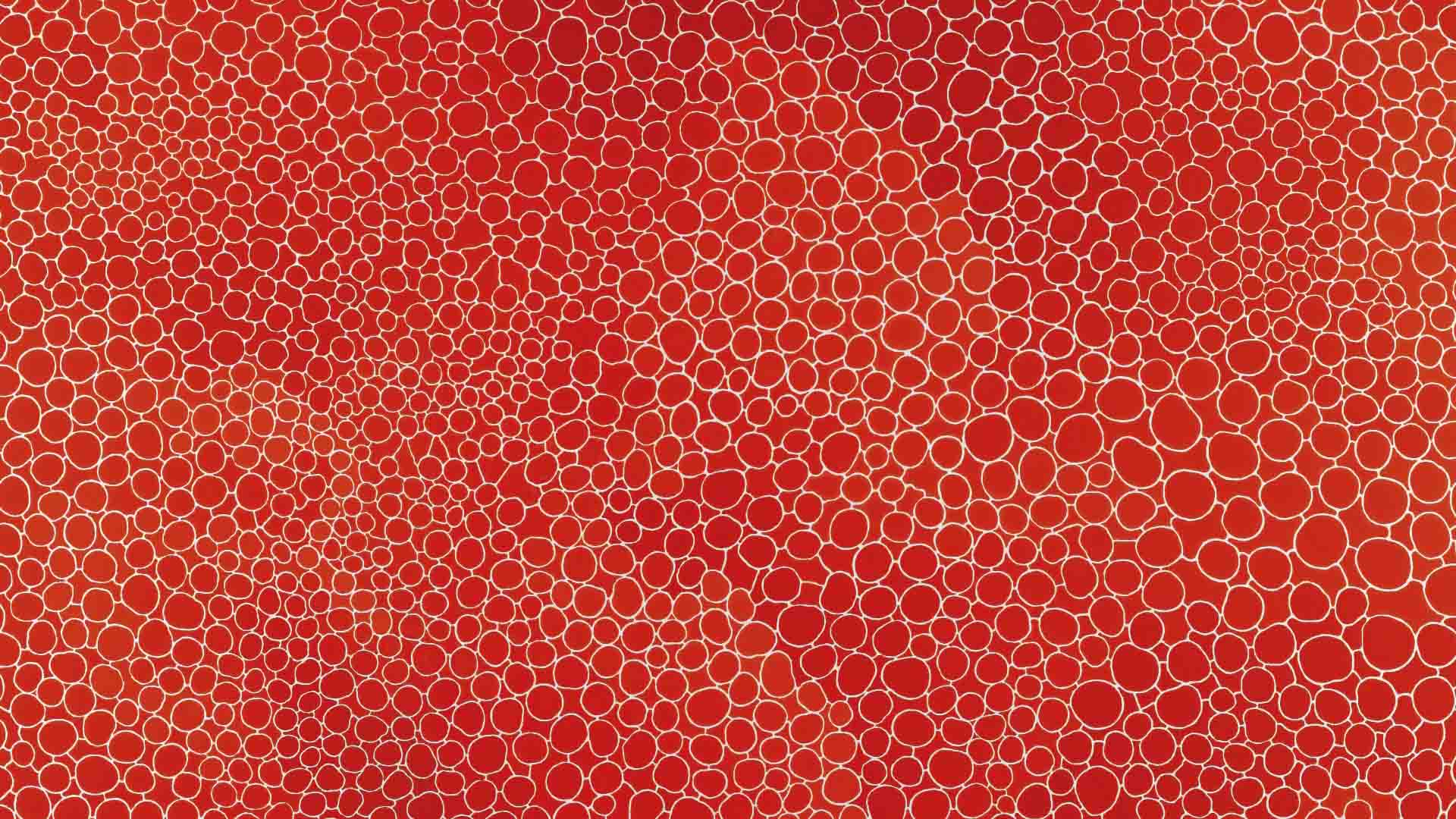 Yayoi Kusama Wallpapers Wallpaper Cave