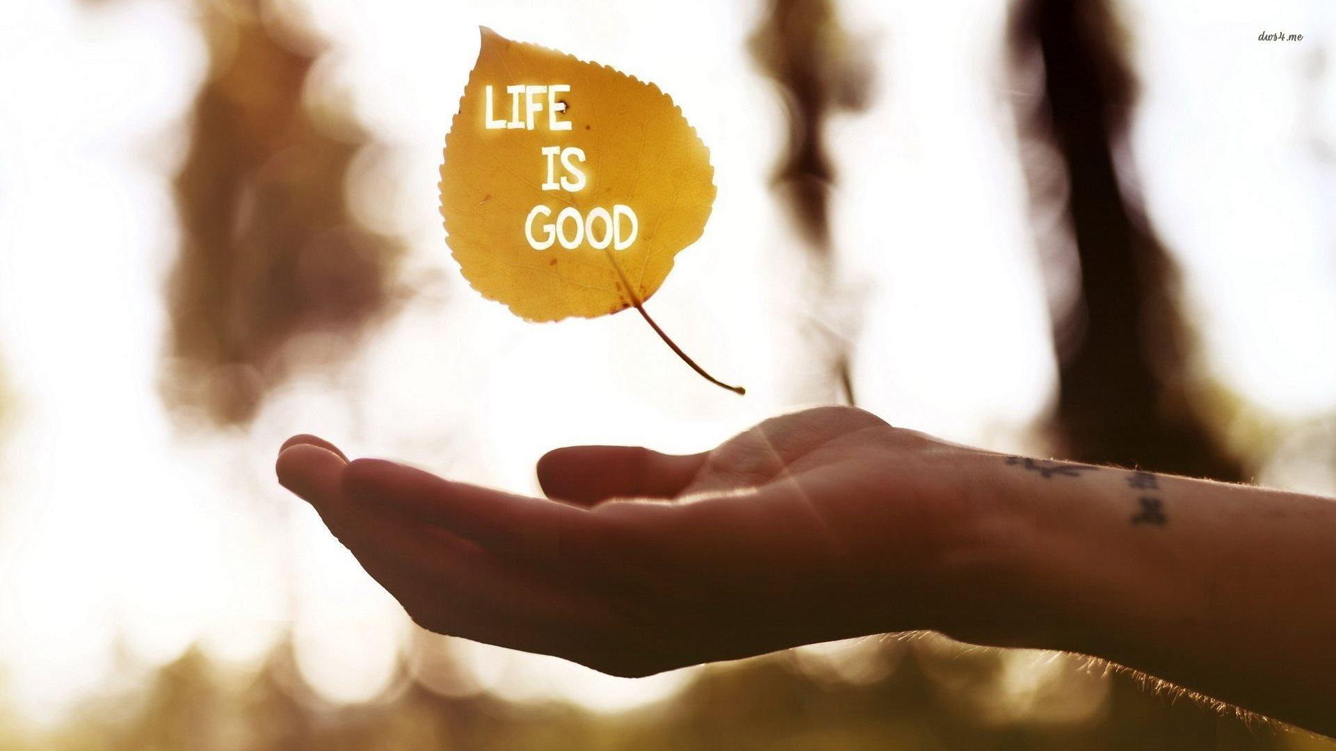 Life Is Good Wallpapers Wallpaper Cave