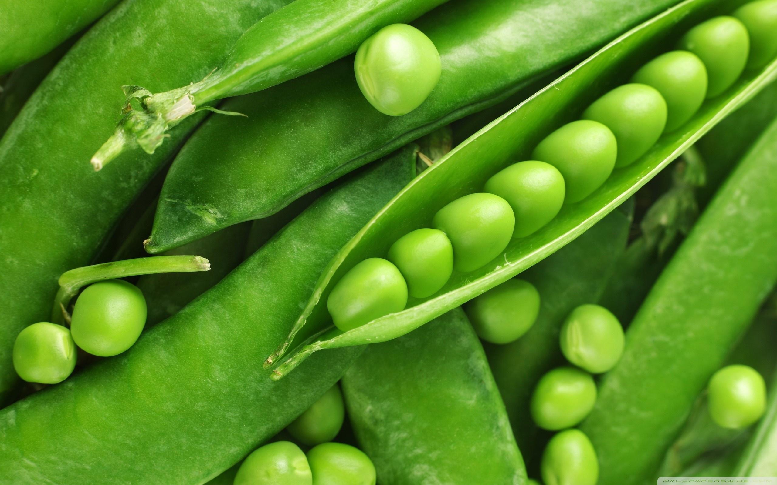 Green Bean Wallpapers Wallpaper Cave