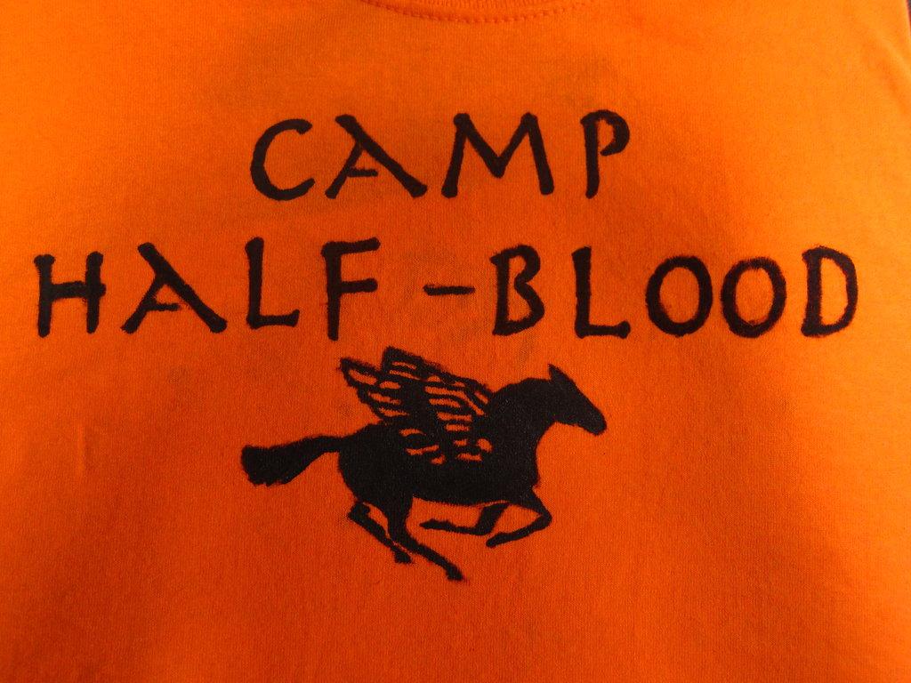 Camp HalfBlood Wallpapers Wallpaper Cave