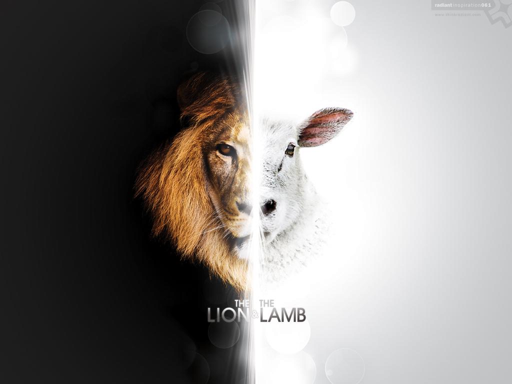 Lamb Wallpapers Wallpaper Cave