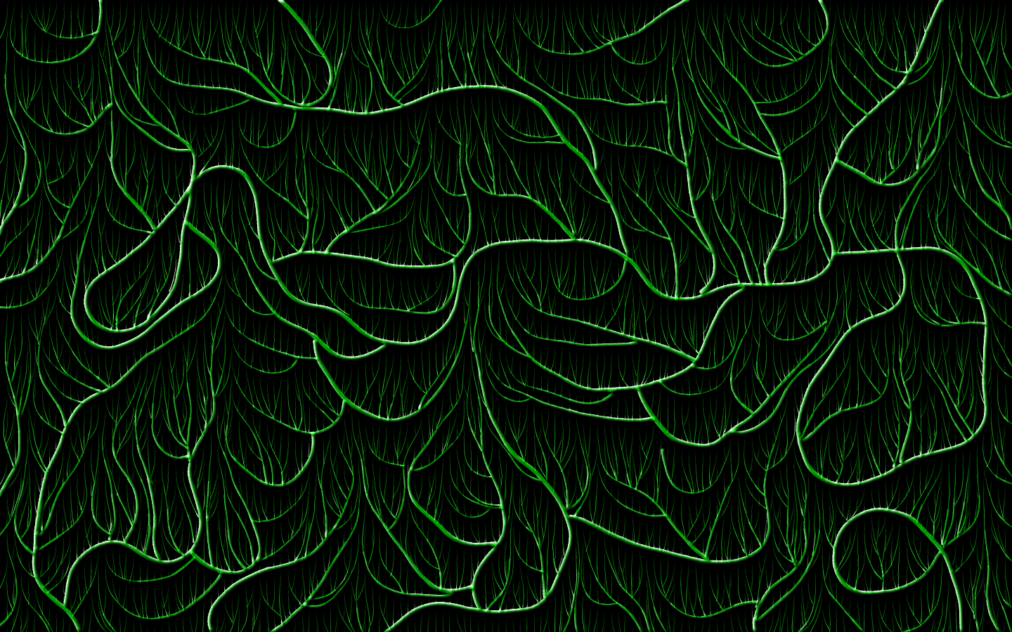 Vine Wallpapers Wallpaper Cave