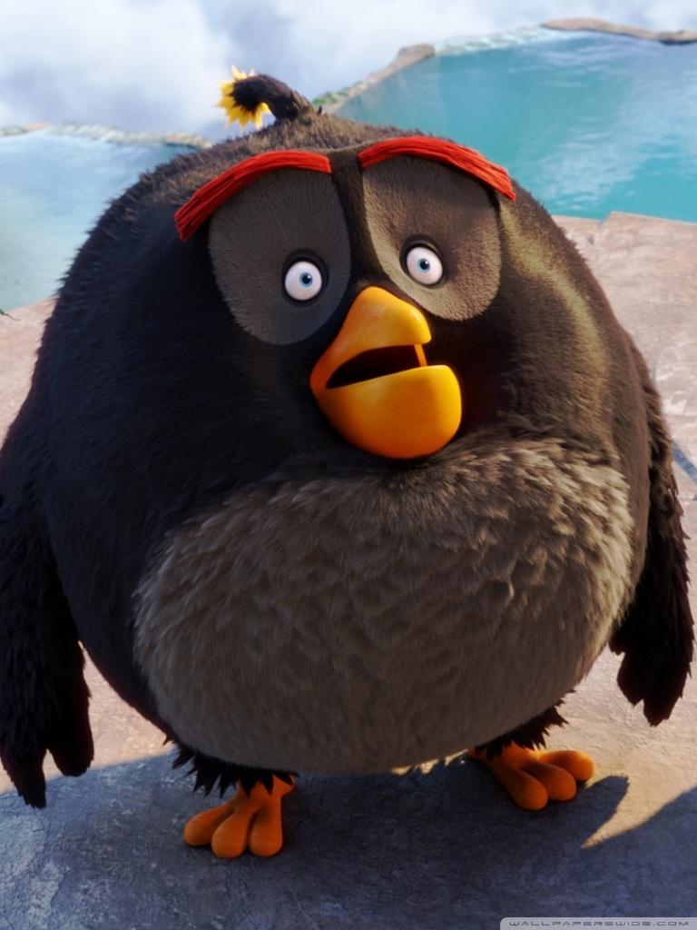 Black Angry Bird Wallpaper