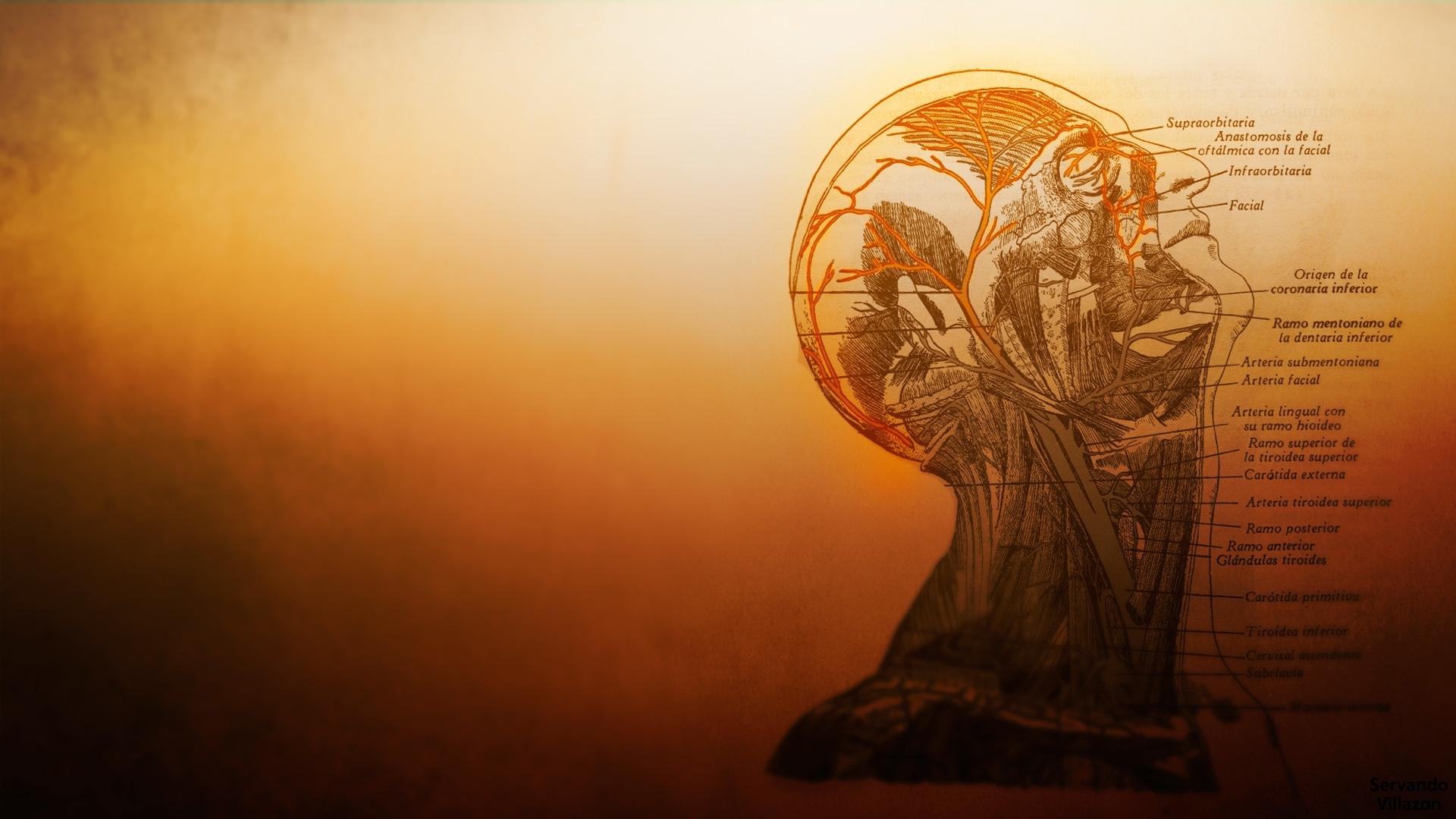 Medic Wallpapers Wallpaper Cave