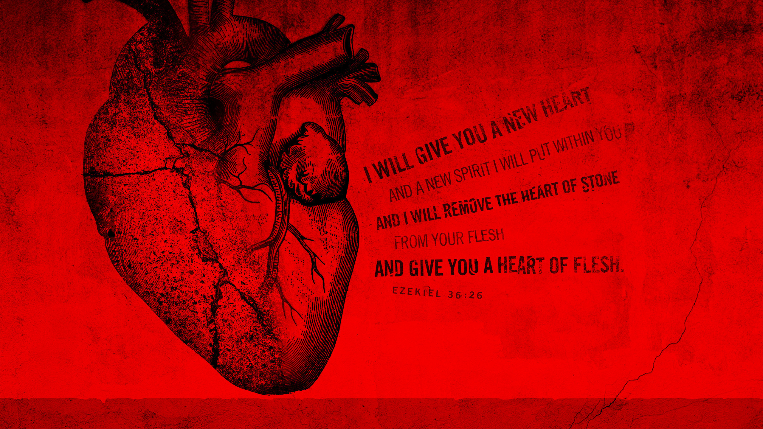 Medic Wallpapers Wallpaper Cave