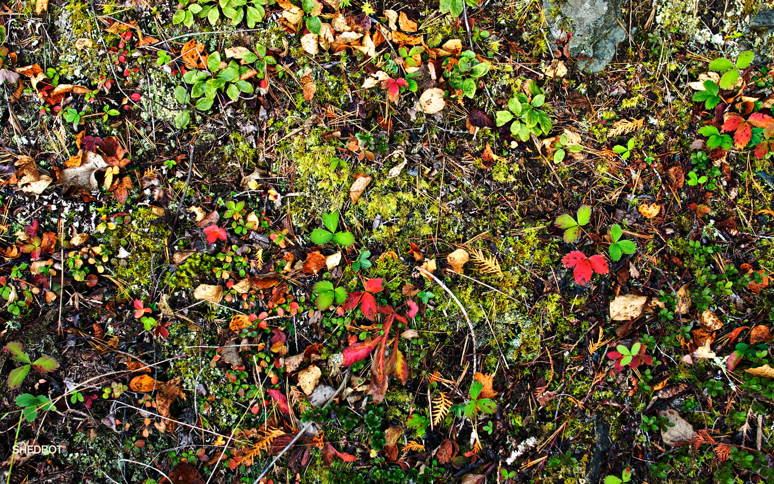 Mess Wallpapers Wallpaper Cave