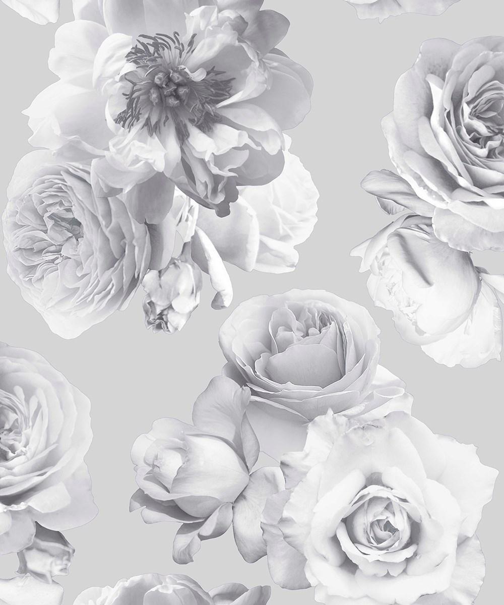 Mono Wallpapers Wallpaper Cave