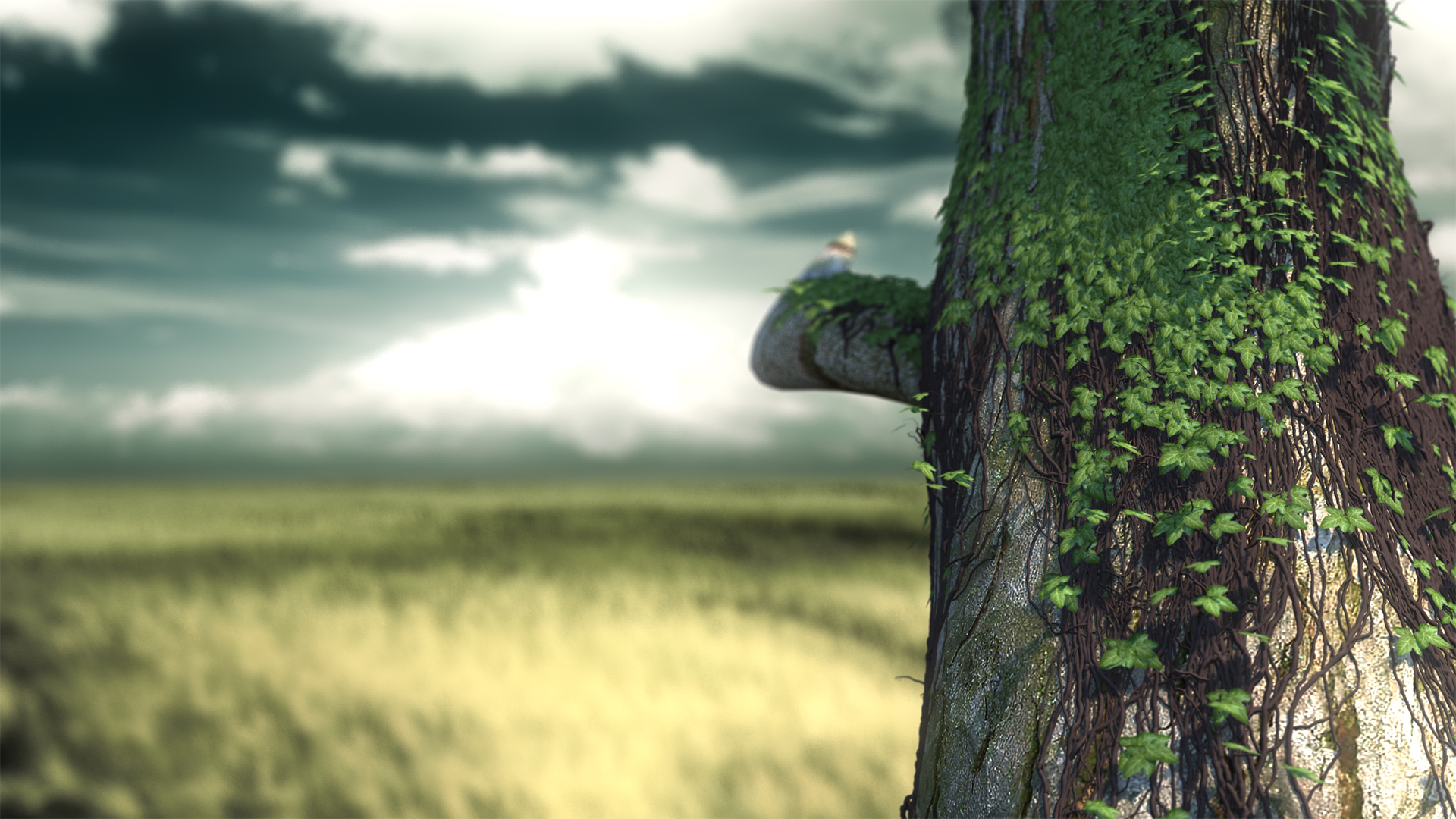 Editing Wallpapers Wallpaper Cave