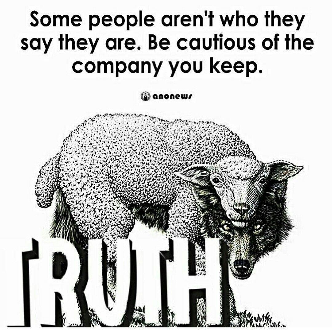 Wolf In Sheep's Clothing Wallpapers Wallpaper Cave