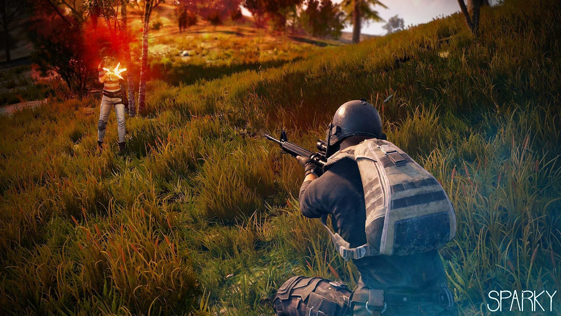 PUBG Animated Wallpapers Wallpaper Cave