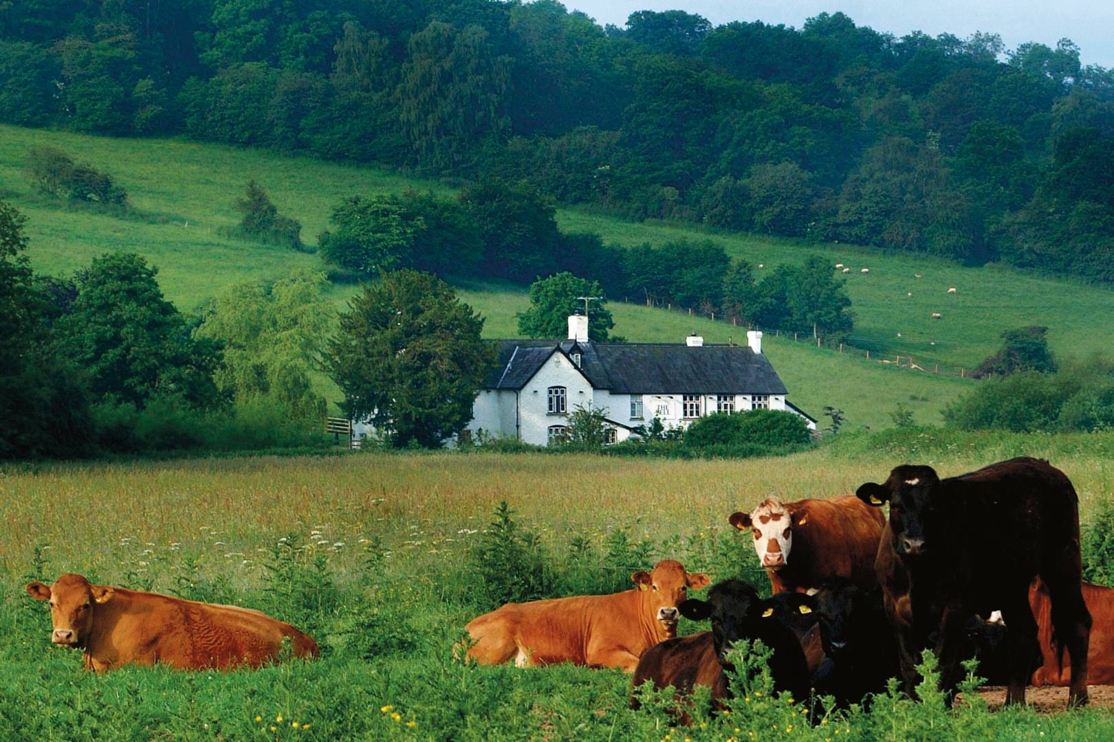 British Farms English Countryside Wallpapers Wallpaper Cave